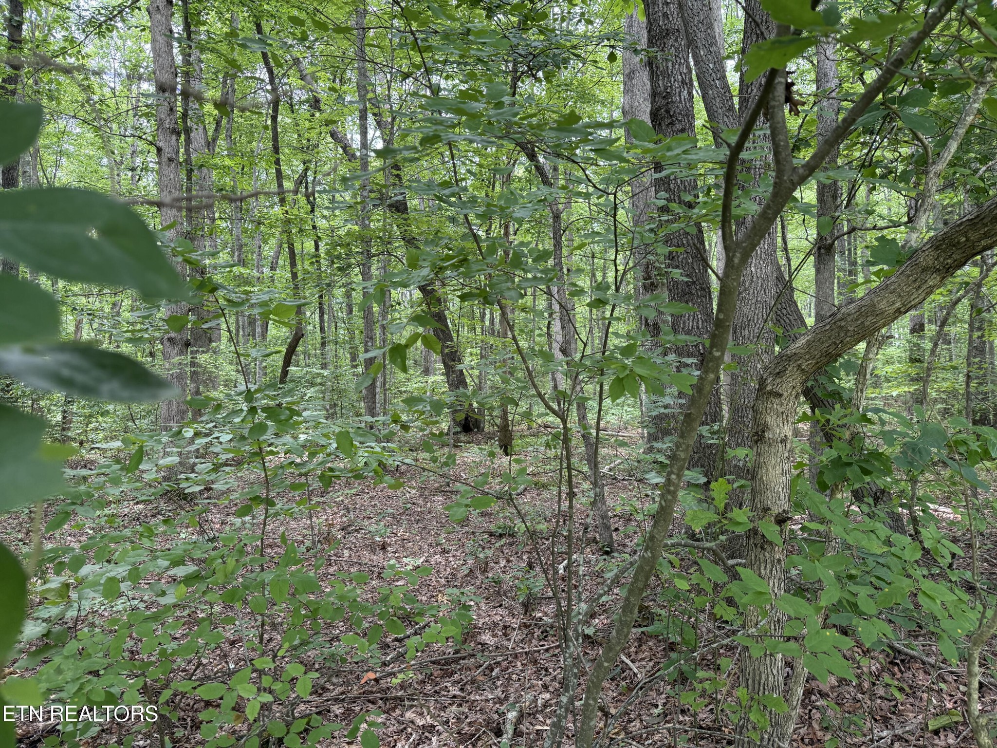 0 Lollar Drive Property Photo 1