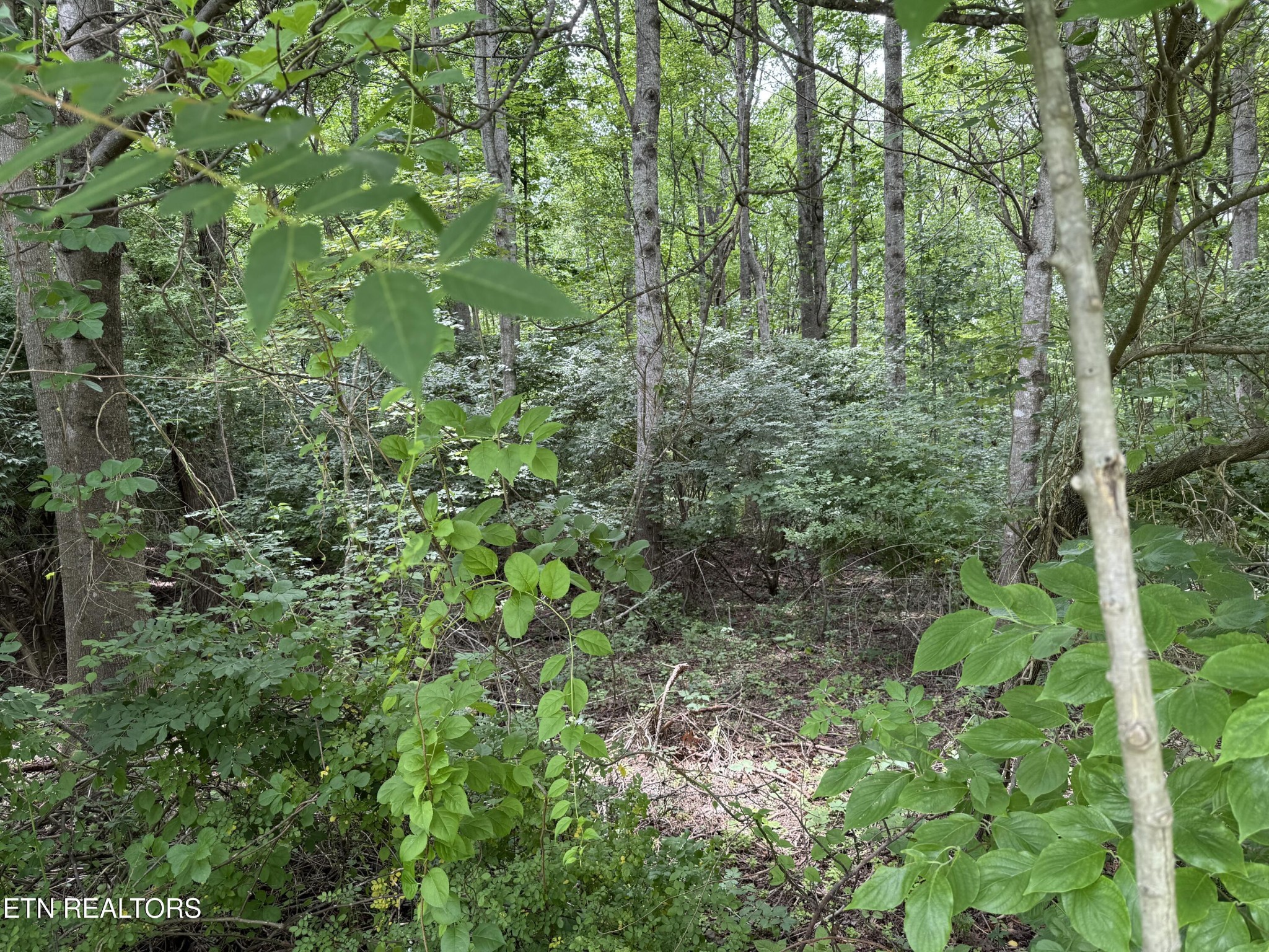 0 Lollar Drive Property Photo 2