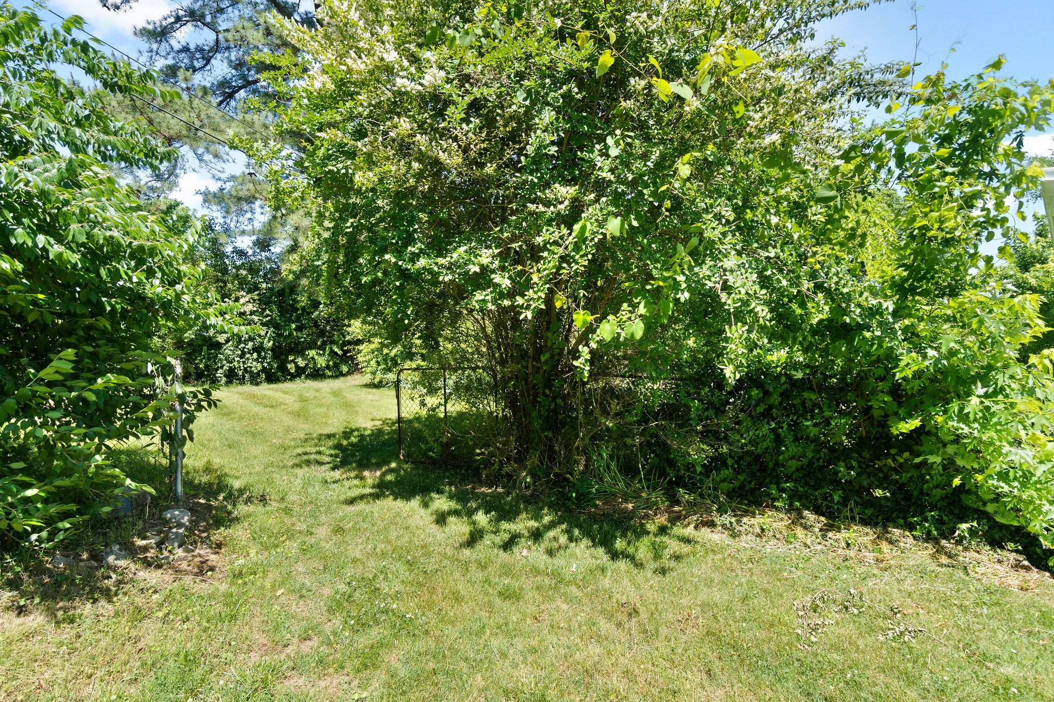 478 Thompkins Ln Property Photo 14