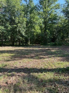 3235 Iconium Rd Property Photo 14