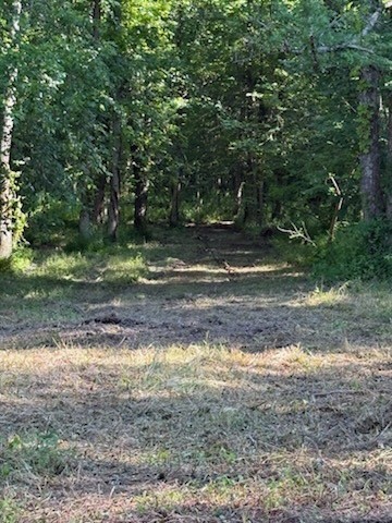 3235 Iconium Rd Property Photo 15