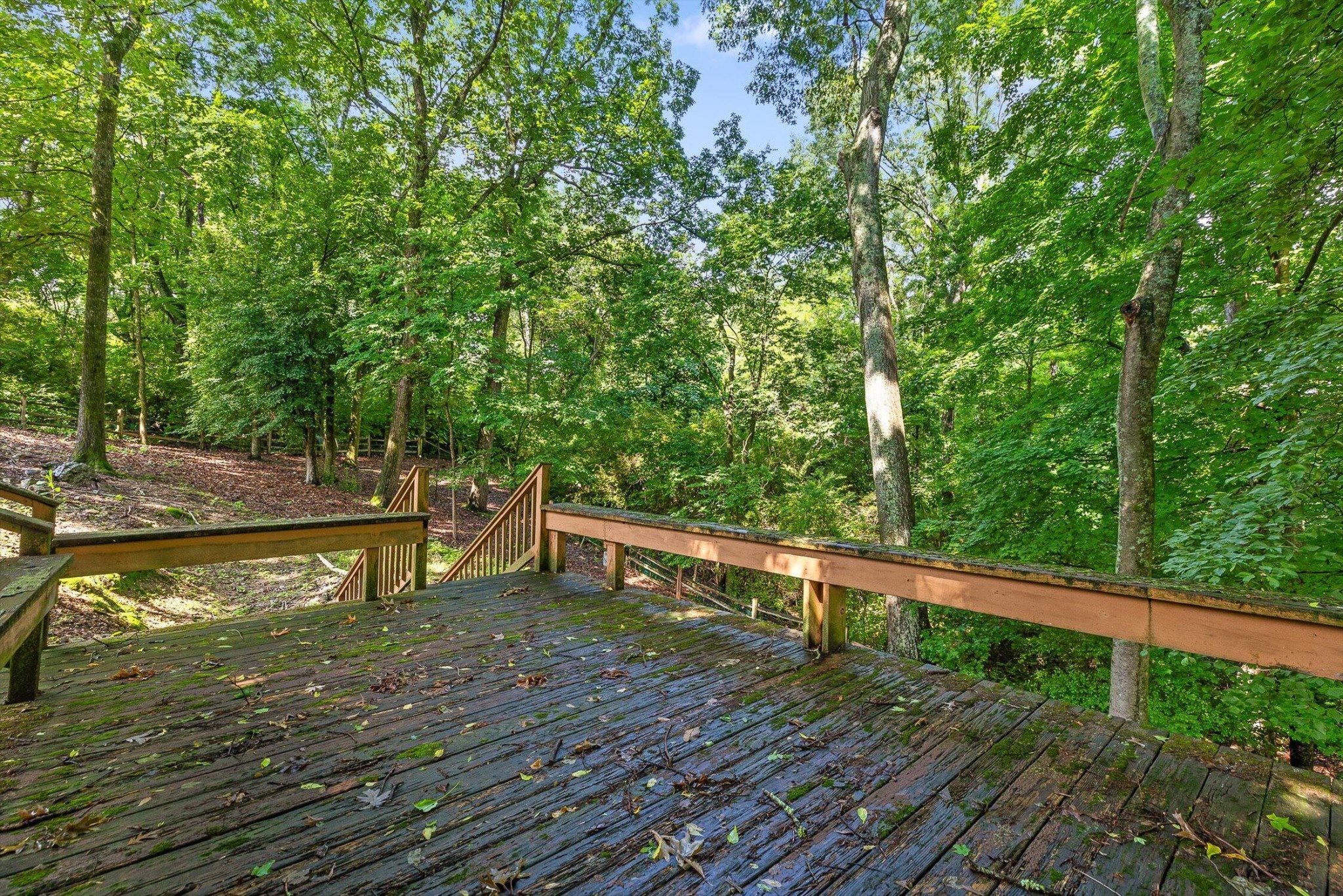 715 Forest Avenue Property Photo 59