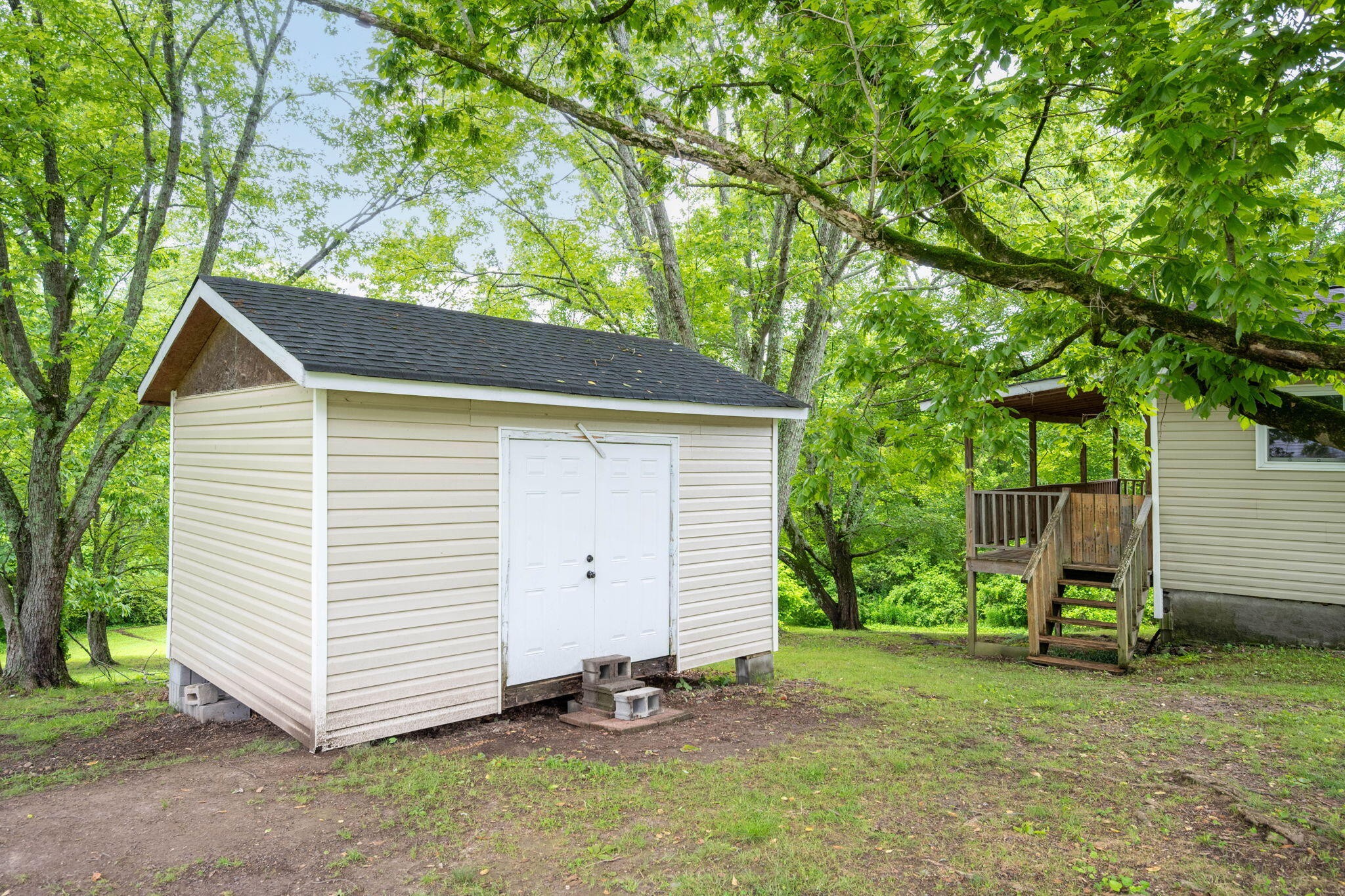 4813 Blue Bell Avenue Property Photo 23
