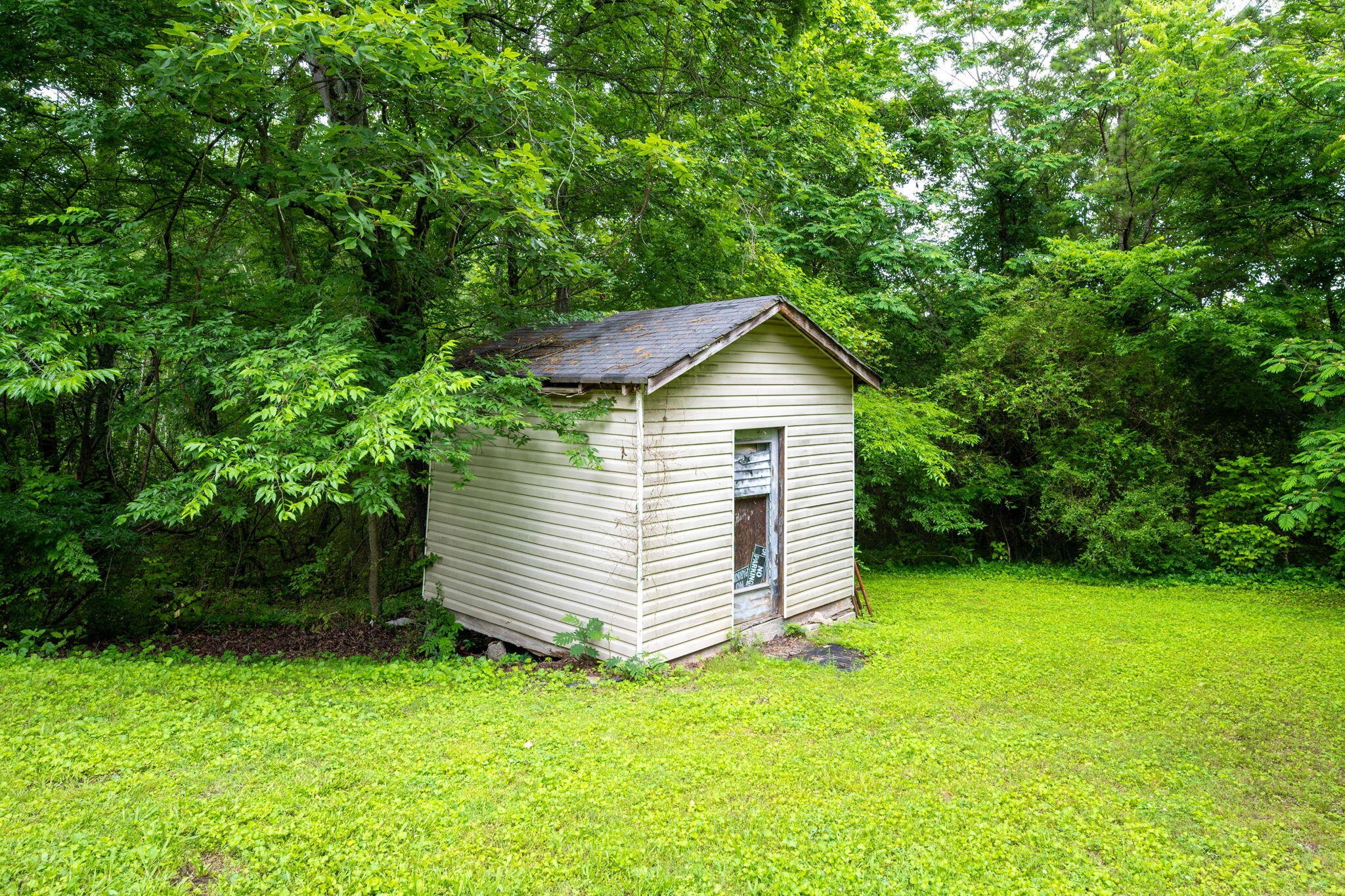 4813 Blue Bell Avenue Property Photo 24