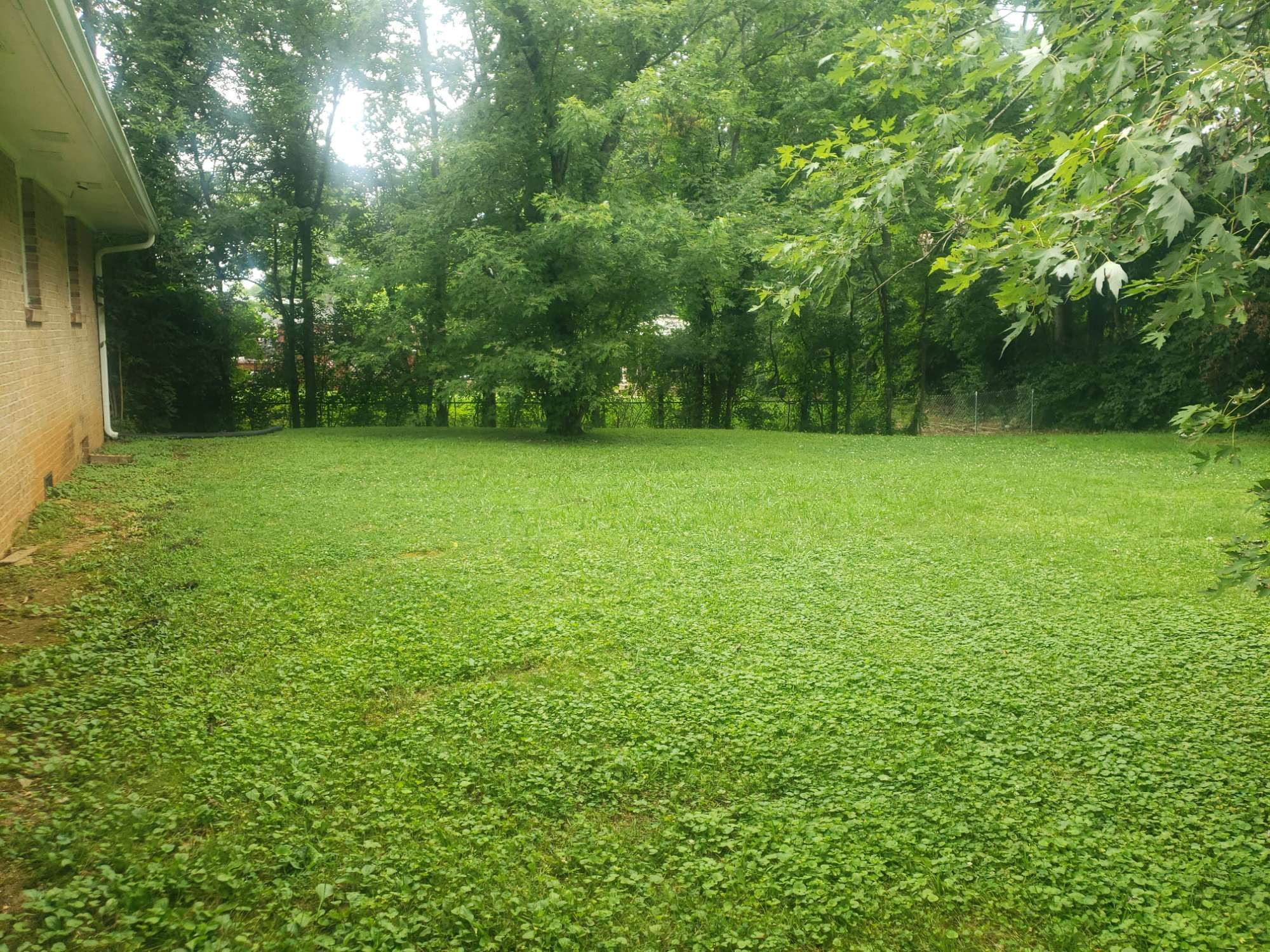 206 Highland Ave Property Photo 14