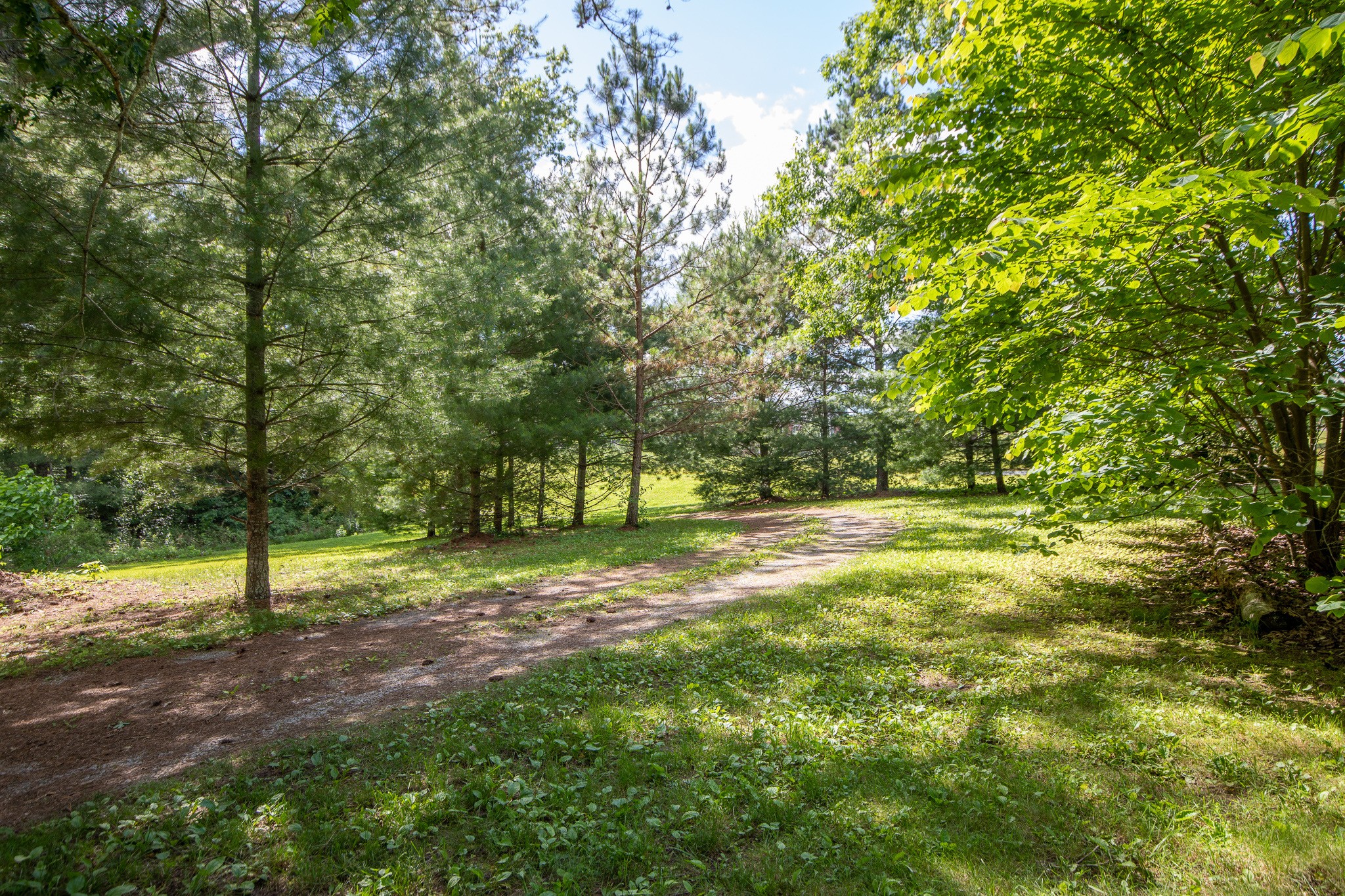 11158 Highway 70, N Property Photo 12