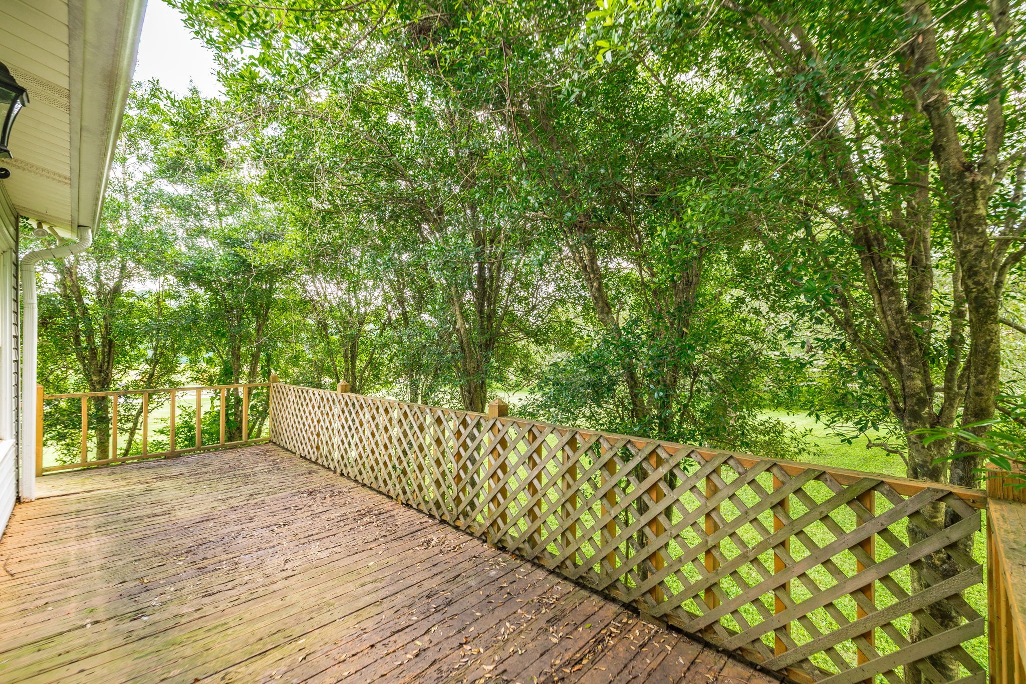 3554 Hwy 31e Property Photo 60