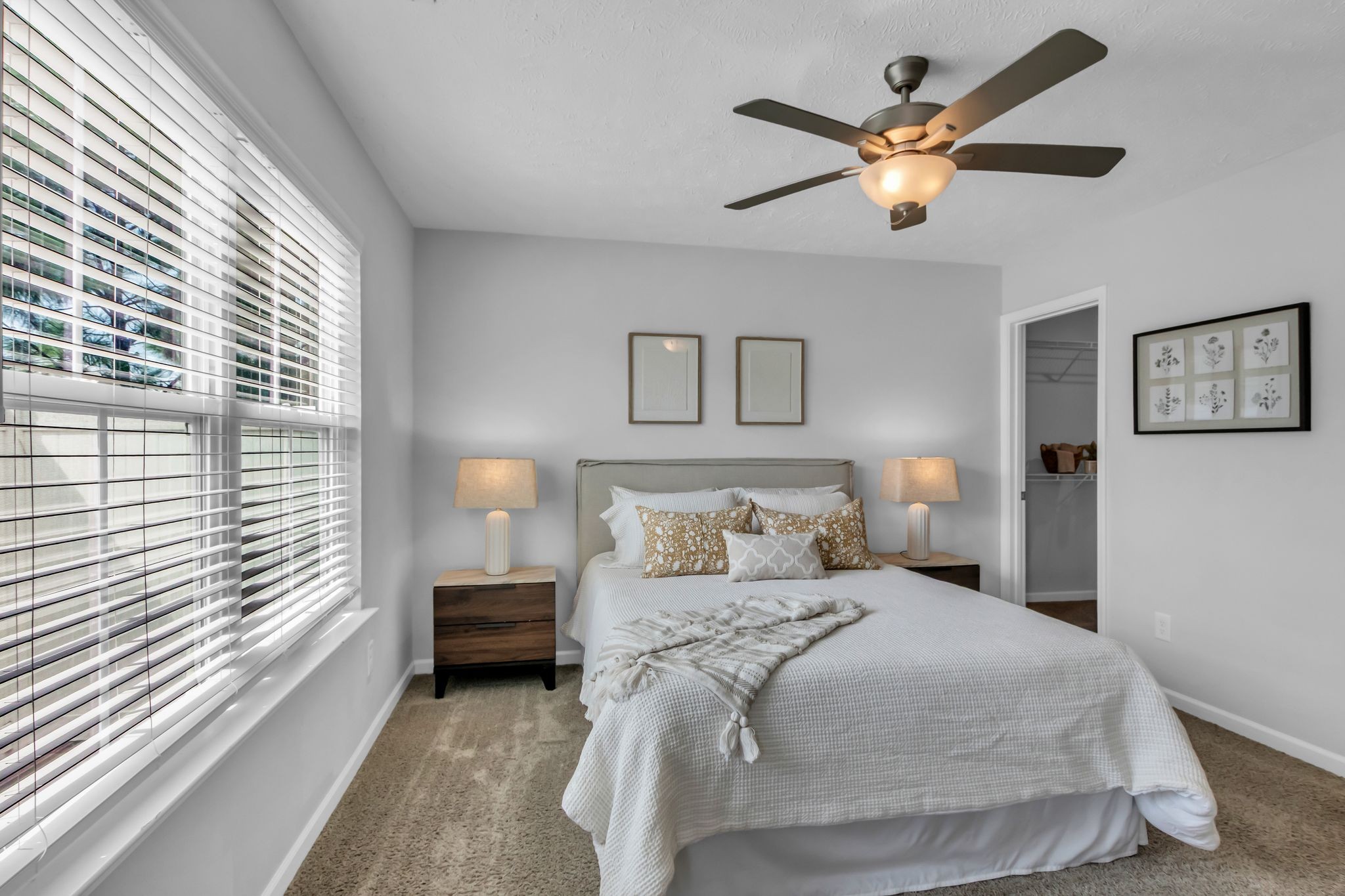 3406 Learning Ln Property Photo 17