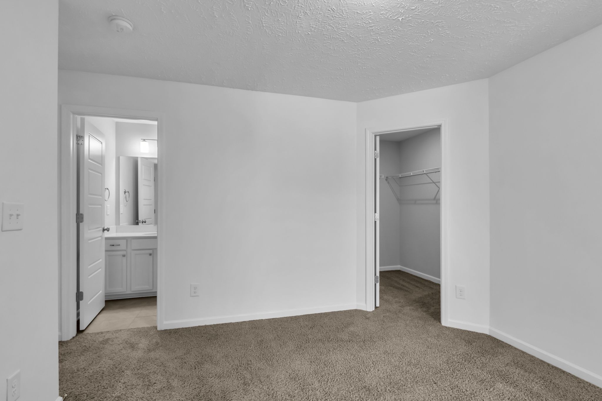 3406 Learning Ln Property Photo 28