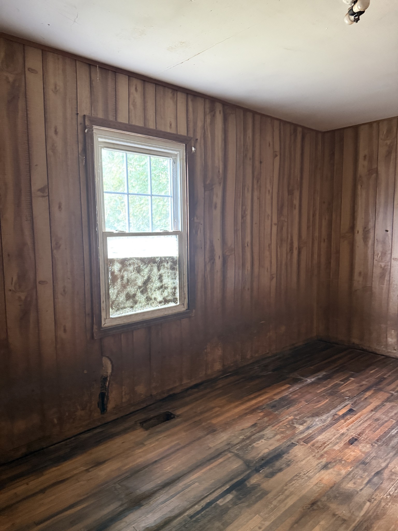 9843 Ed Lyell Rd Property Photo 18