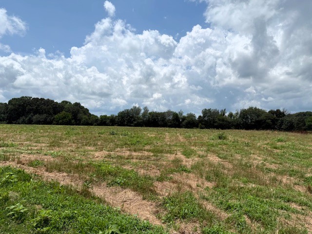 1315 Caney Branch Rd Property Photo 9
