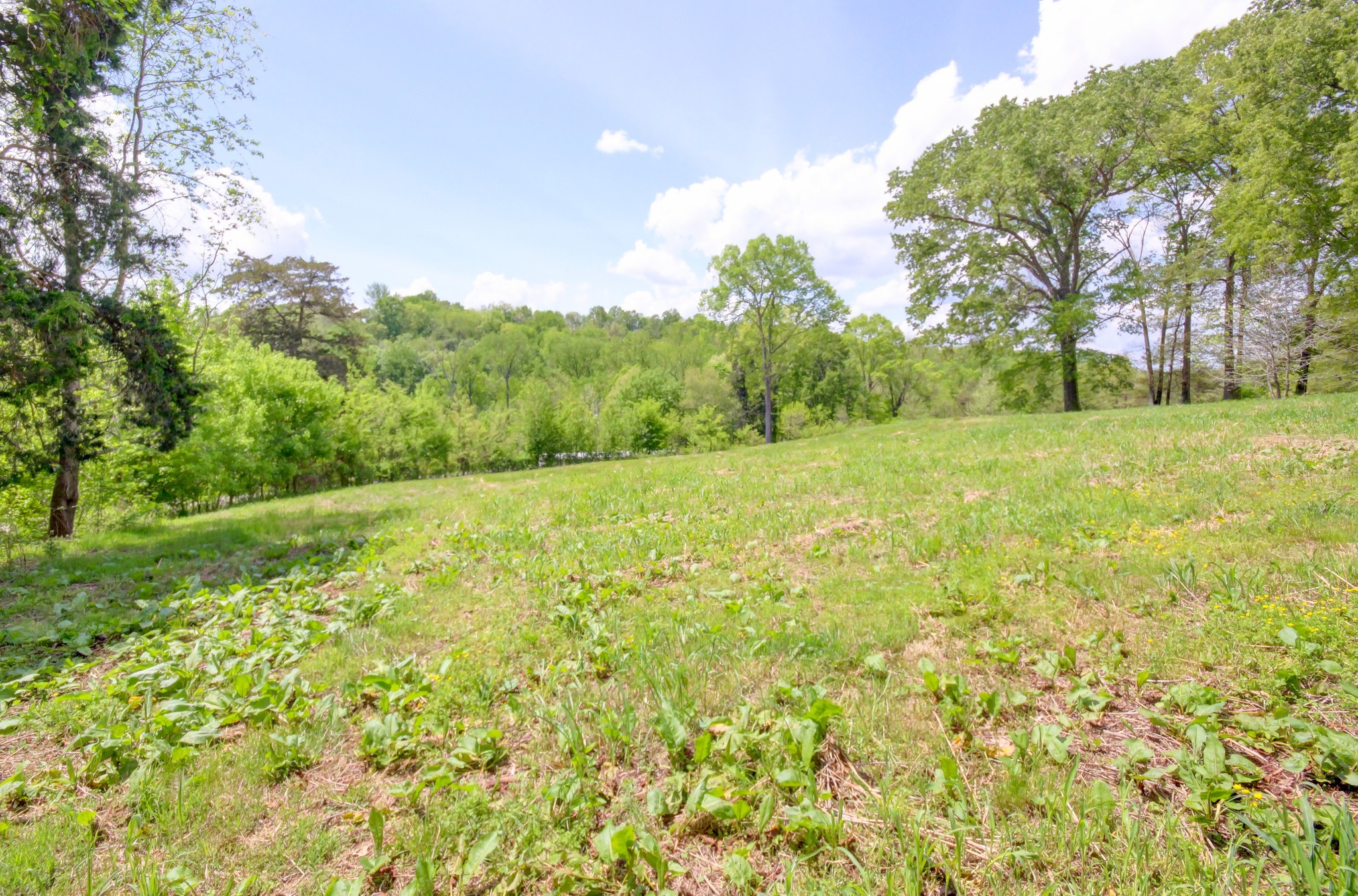 3150 Sugar Creek Rd Property Photo 26