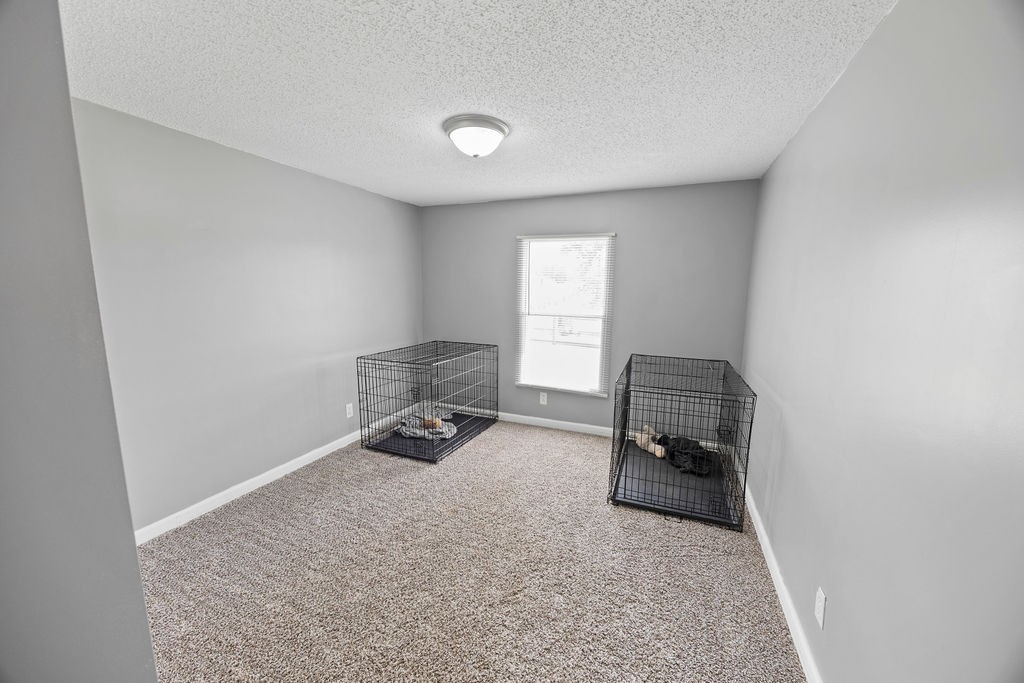 594 Governor Hall Rd Property Photo 15