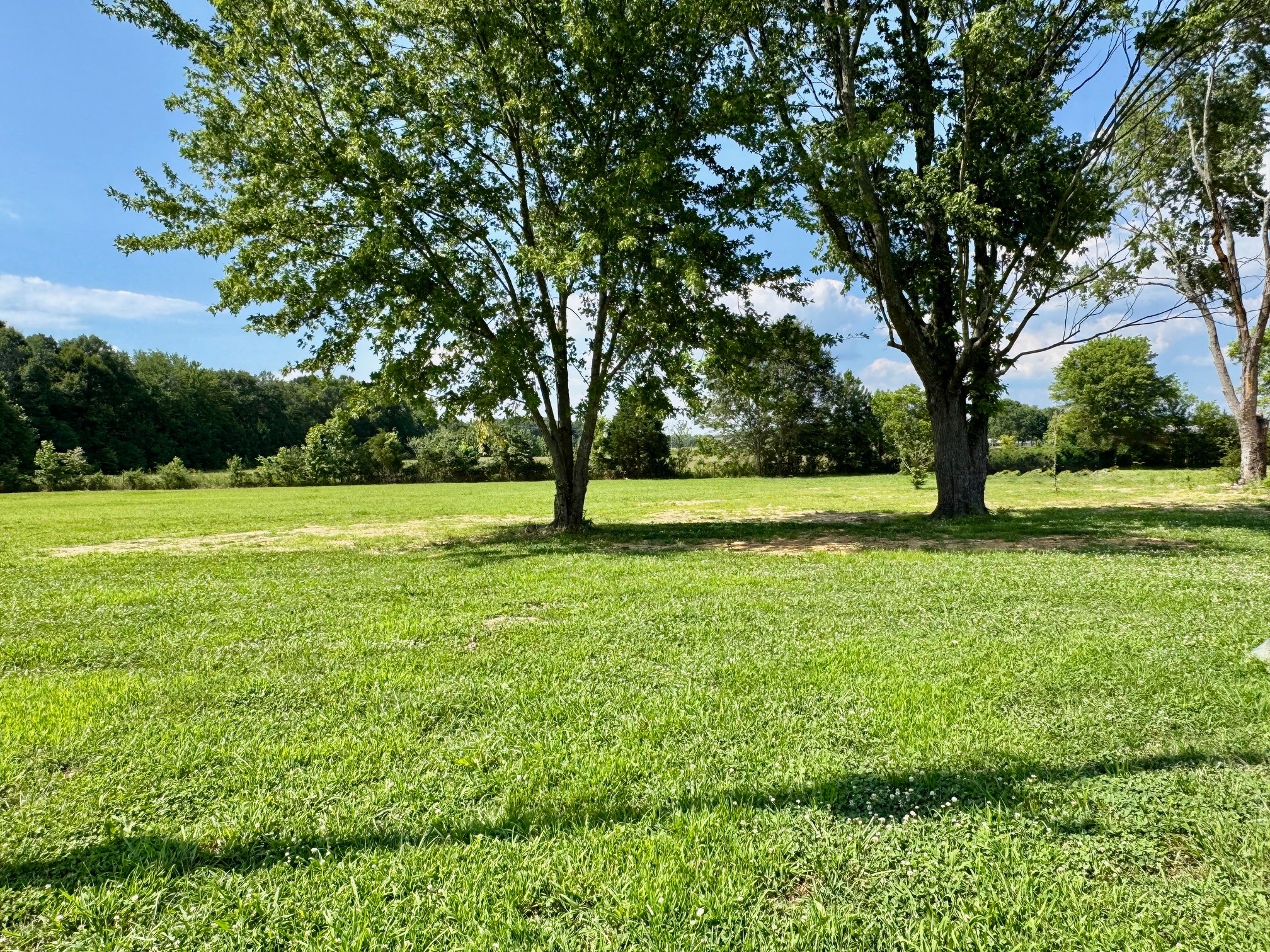 8165 State Line Rd Property Photo 17
