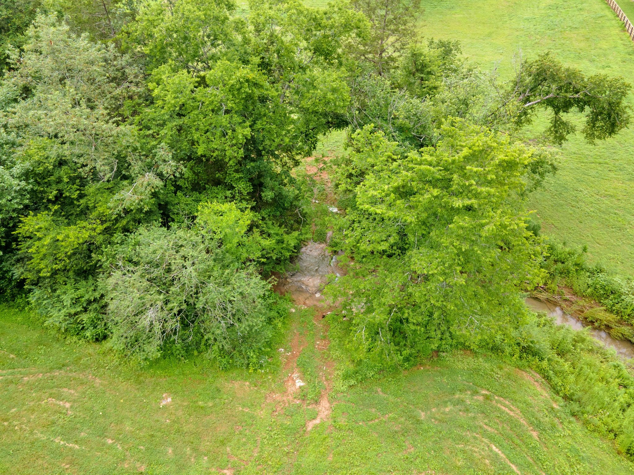0 Cothran Rd Property Photo 17