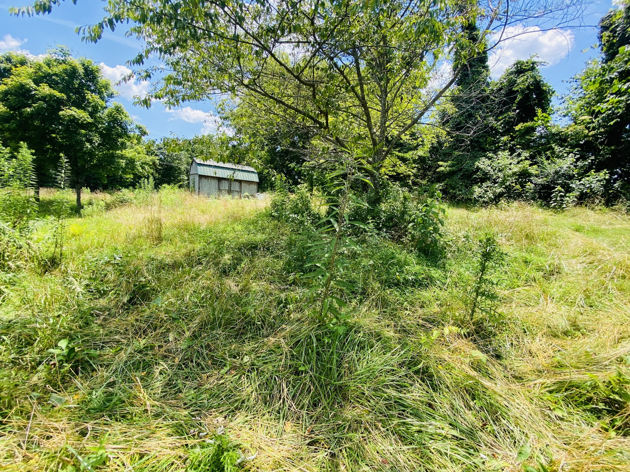 1005 Highpoint Ln Property Photo 3