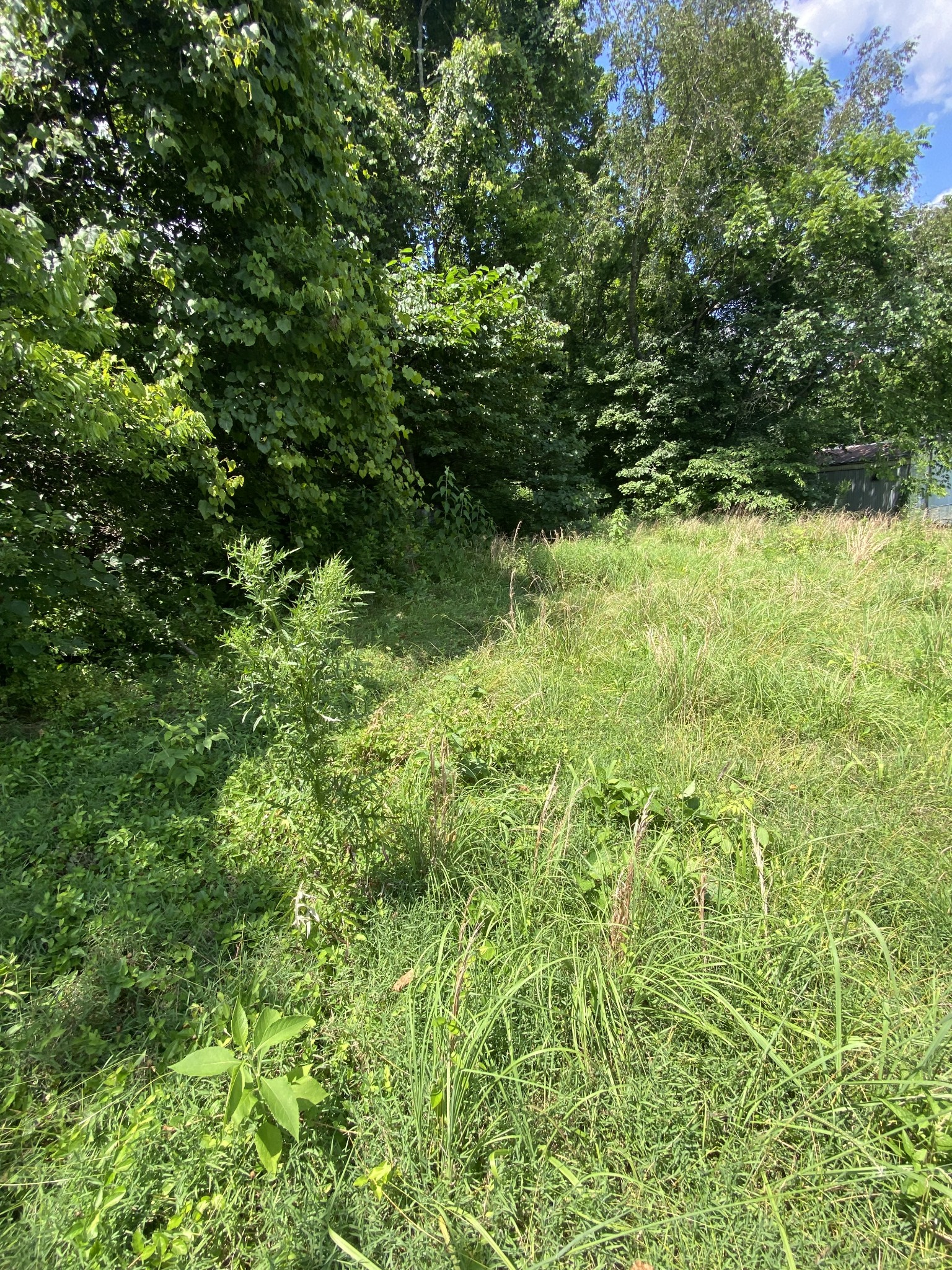 1005 Highpoint Ln Property Photo 5