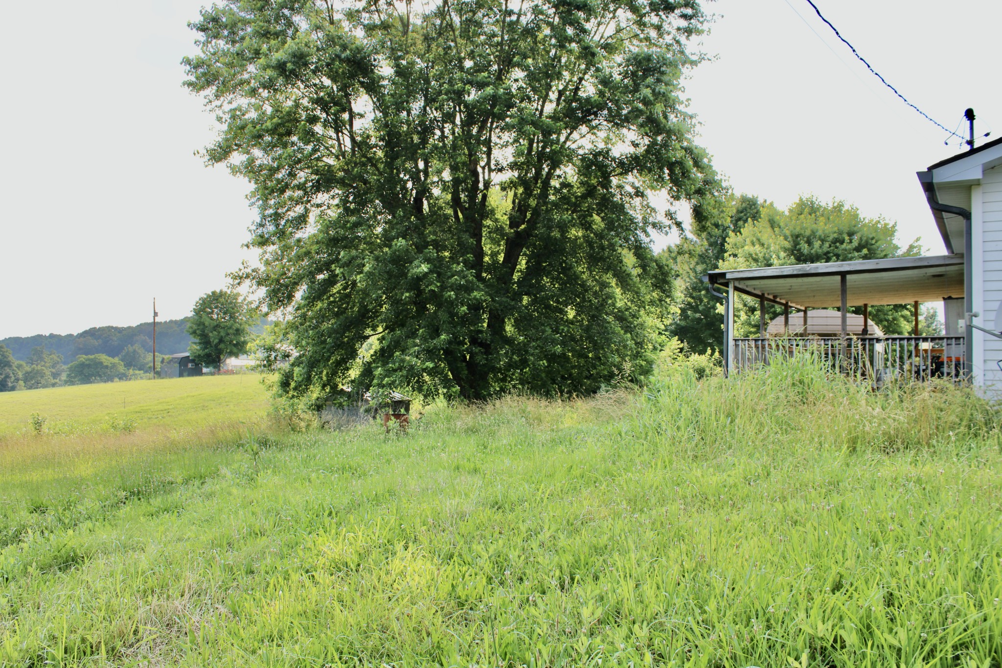 6442 Highway 161 Property Photo 5