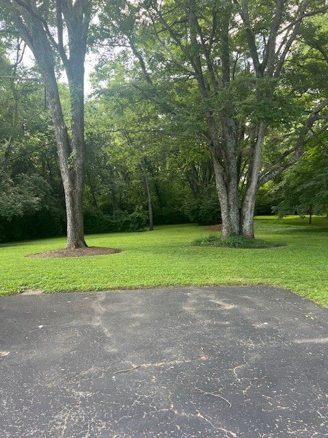 4805 Bowfield Dr Property Photo 3