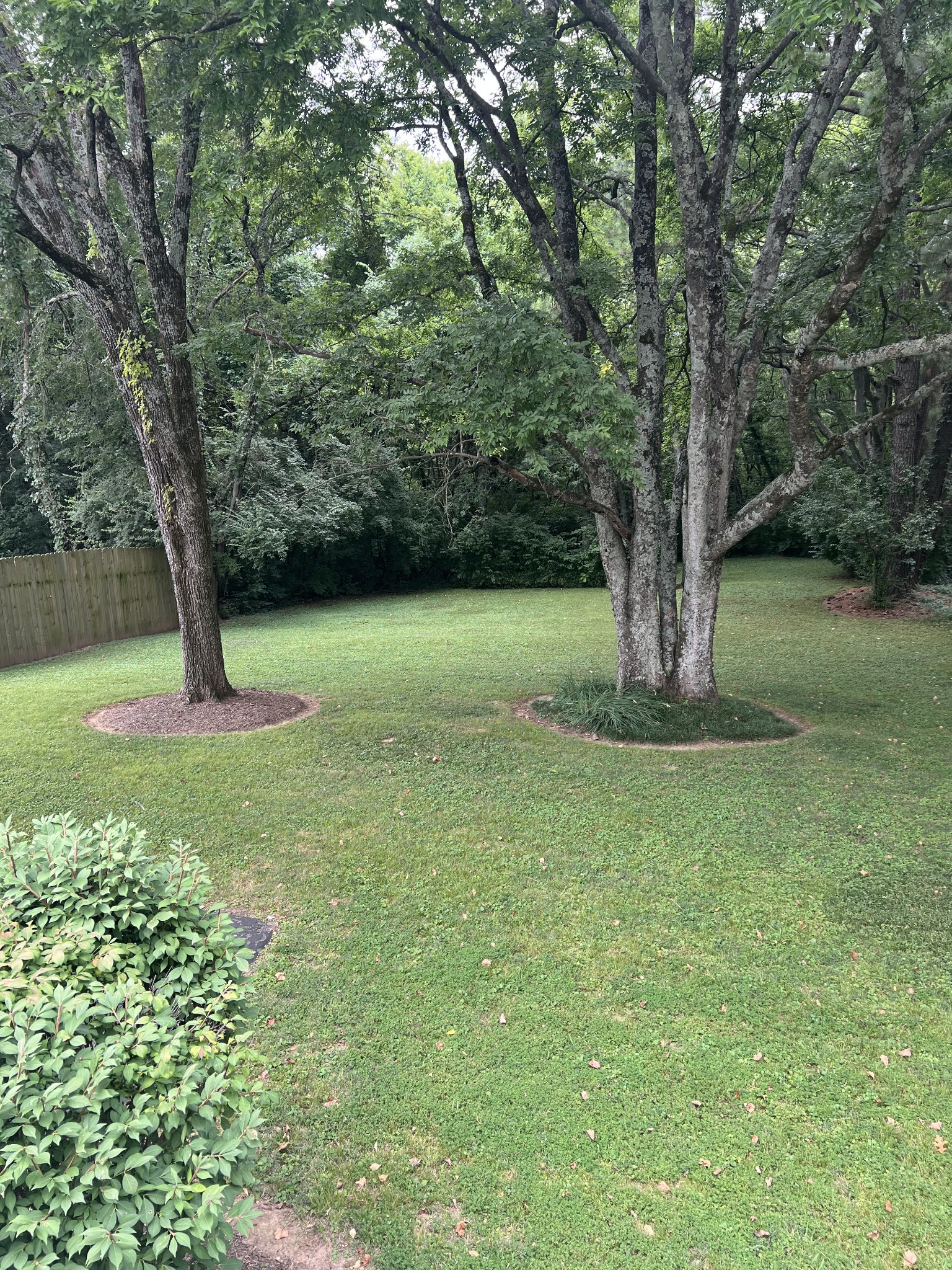 4805 Bowfield Dr Property Photo 10
