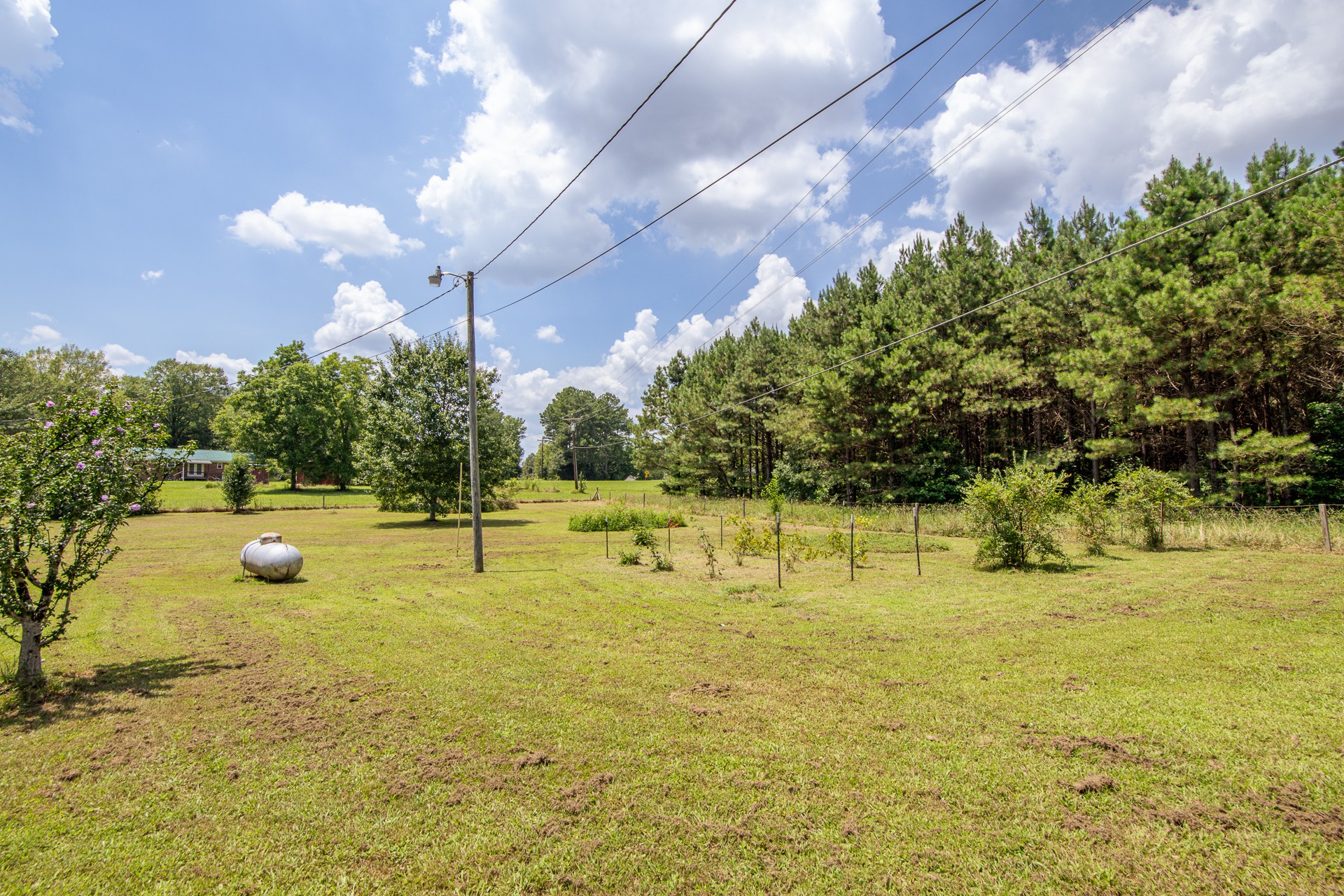 996 Matrose Carrolls Rd Property Photo 36