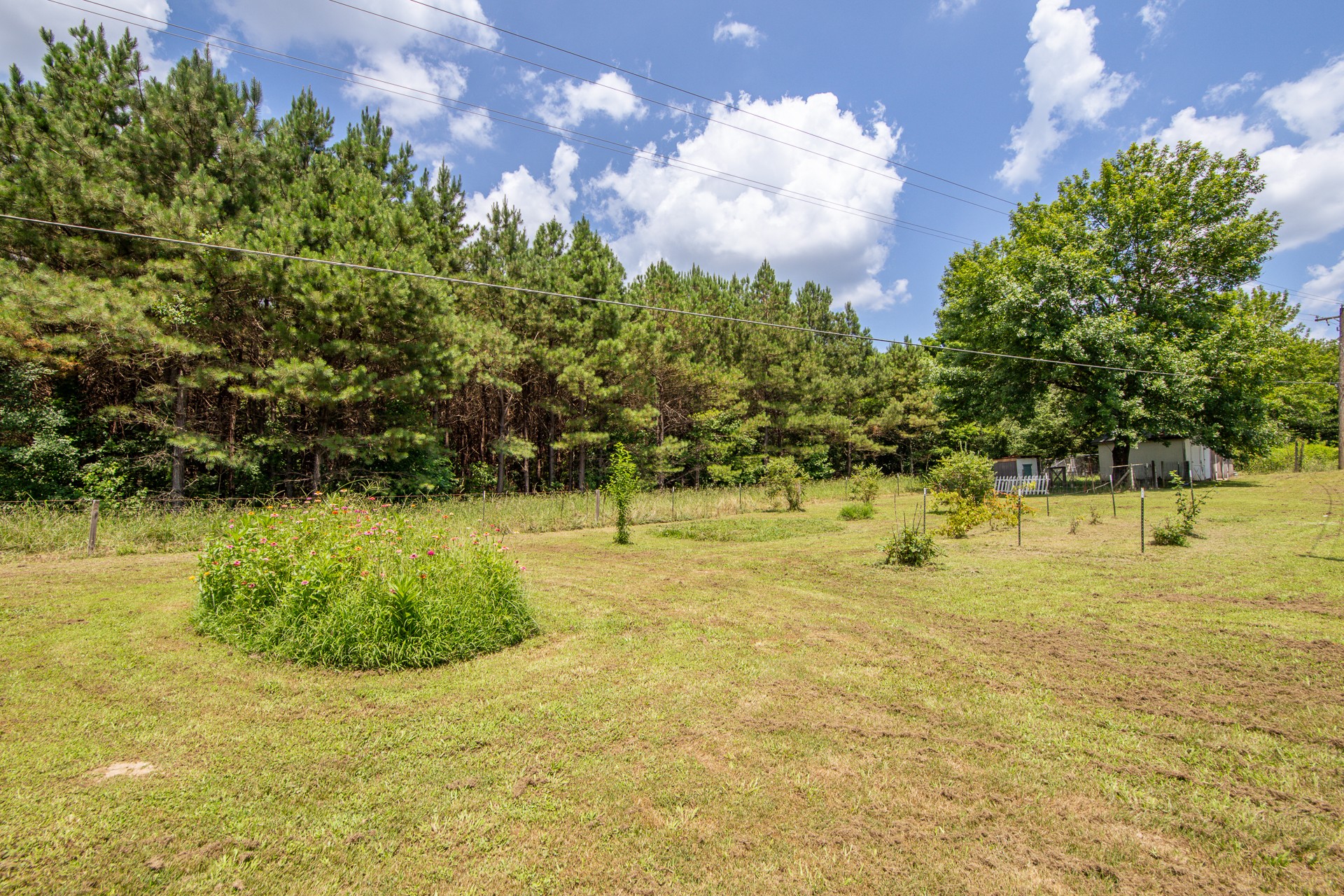 996 Matrose Carrolls Rd Property Photo 37