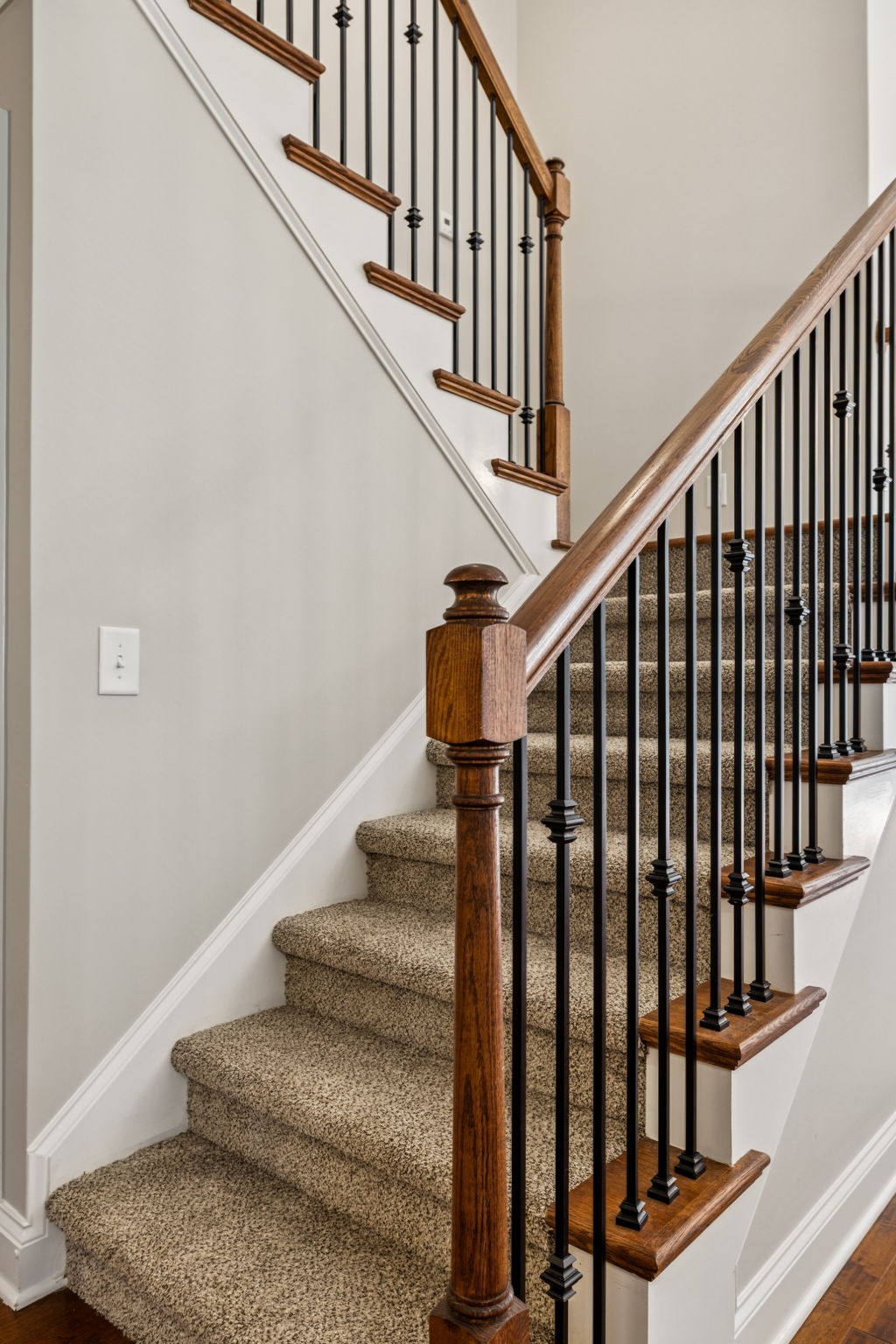 1037 Irish Way Property Photo 46