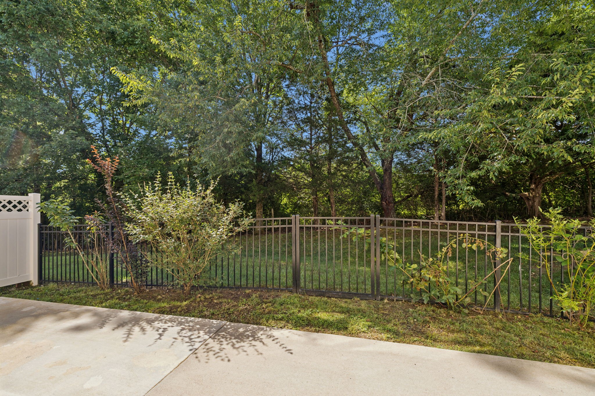 1037 Irish Way Property Photo 58