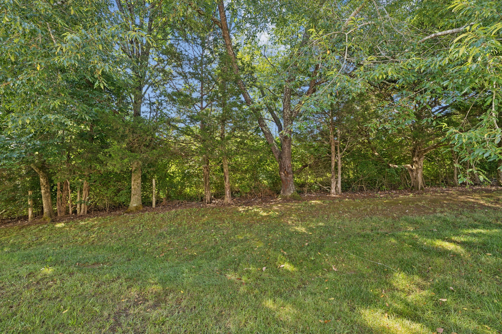 1037 Irish Way Property Photo 61