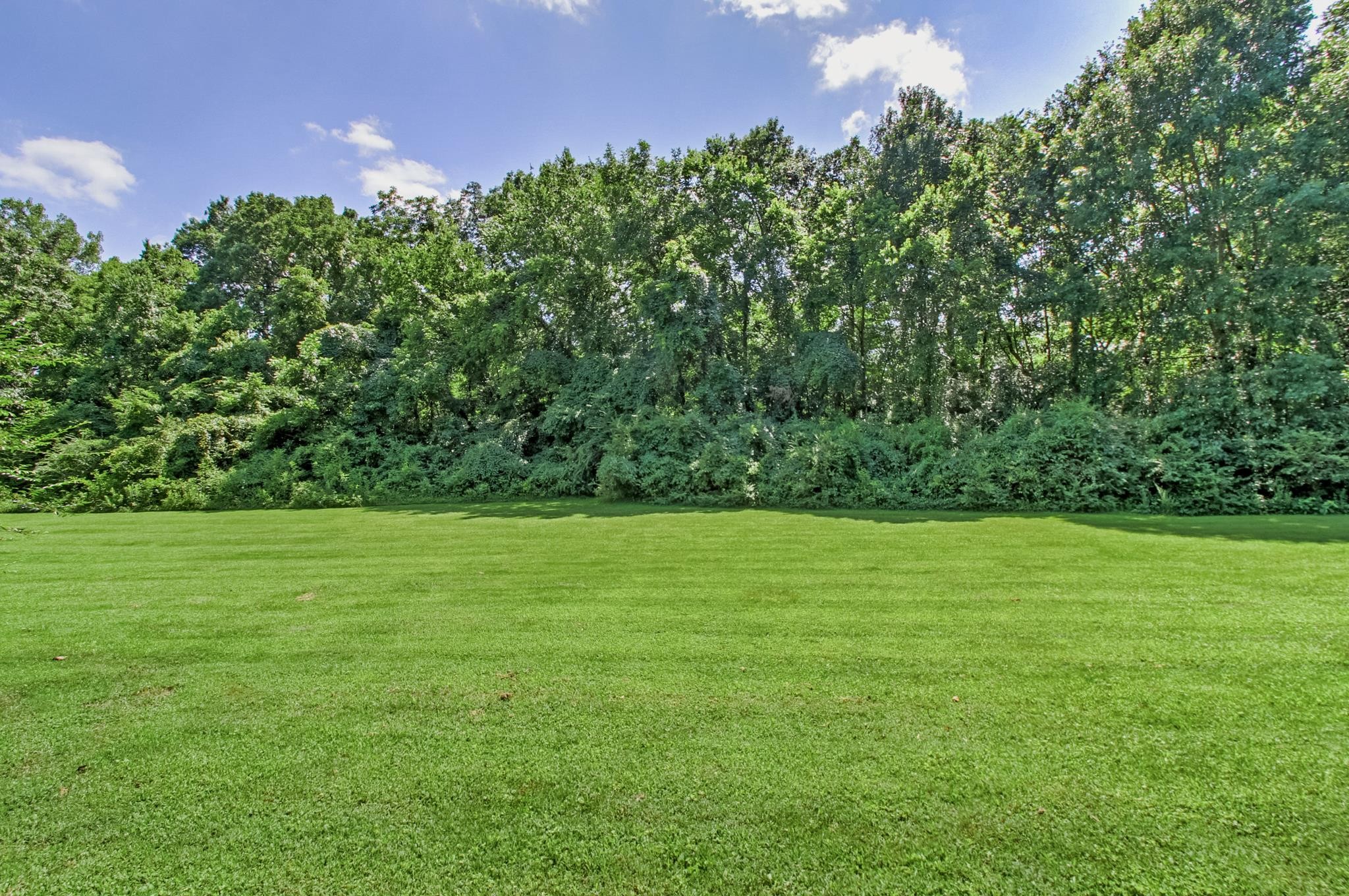 1017 Boxwood Dr Property Photo 54
