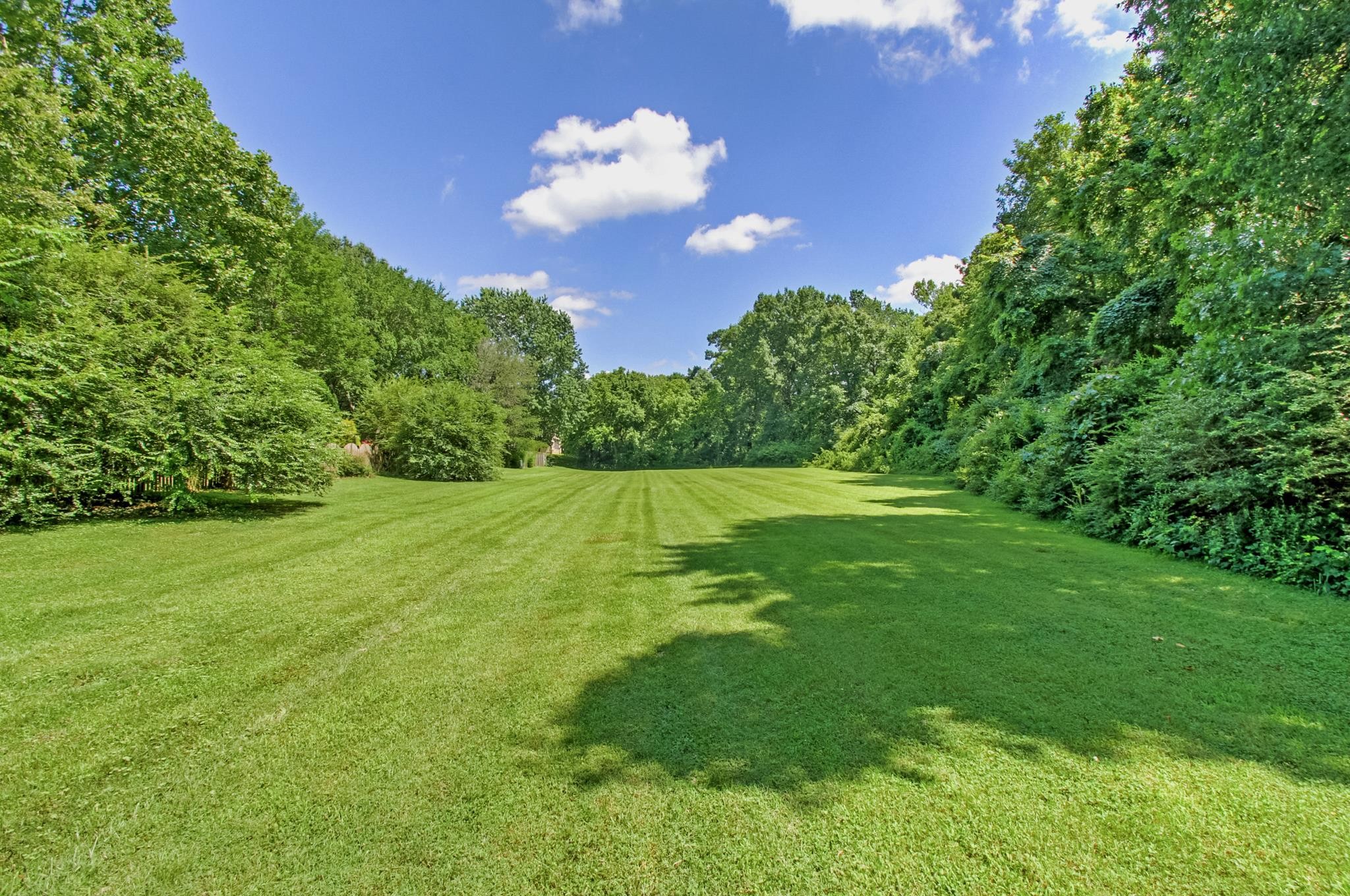 1017 Boxwood Dr Property Photo 55