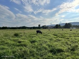 0 Old State Highway 28 Property Photo 1