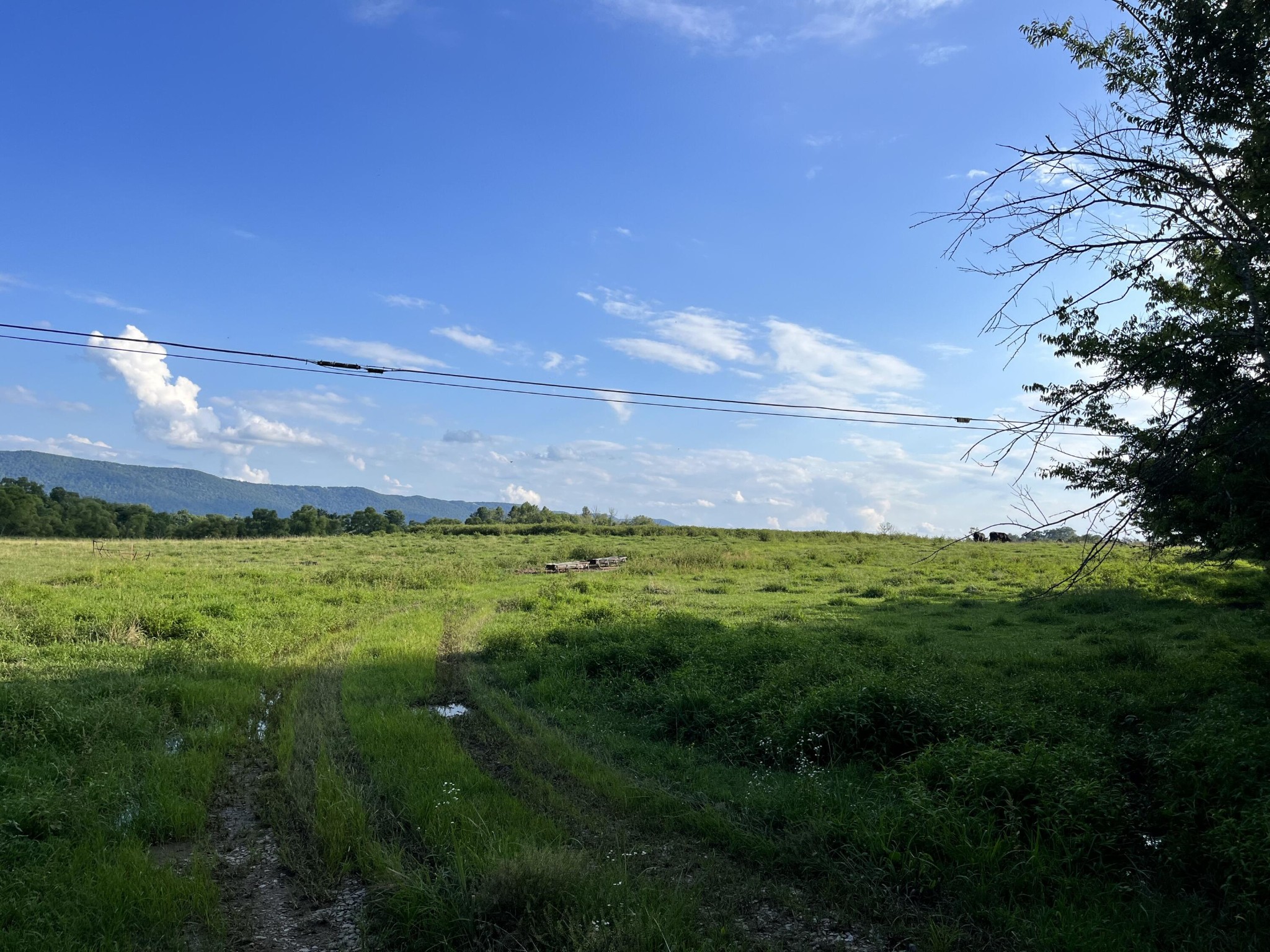 0 Old State Highway 28 Property Photo 2