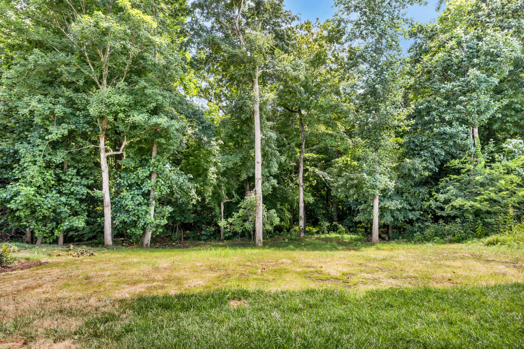 578 Pongracz Way Property Photo 34