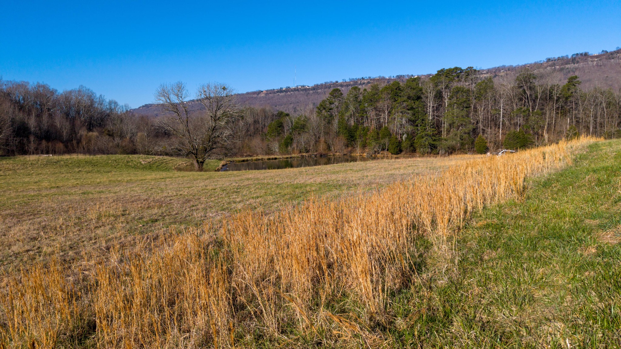 4975 Browntown Road Property Photo 1