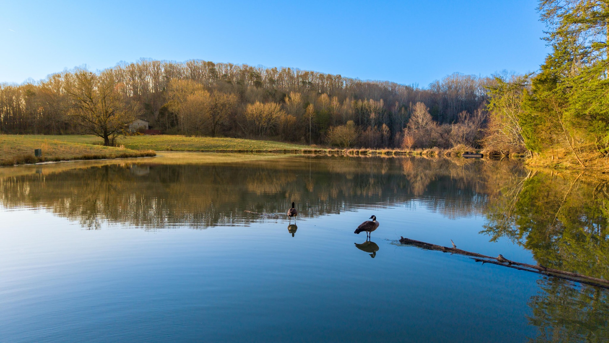 4975 Browntown Road Property Photo 4