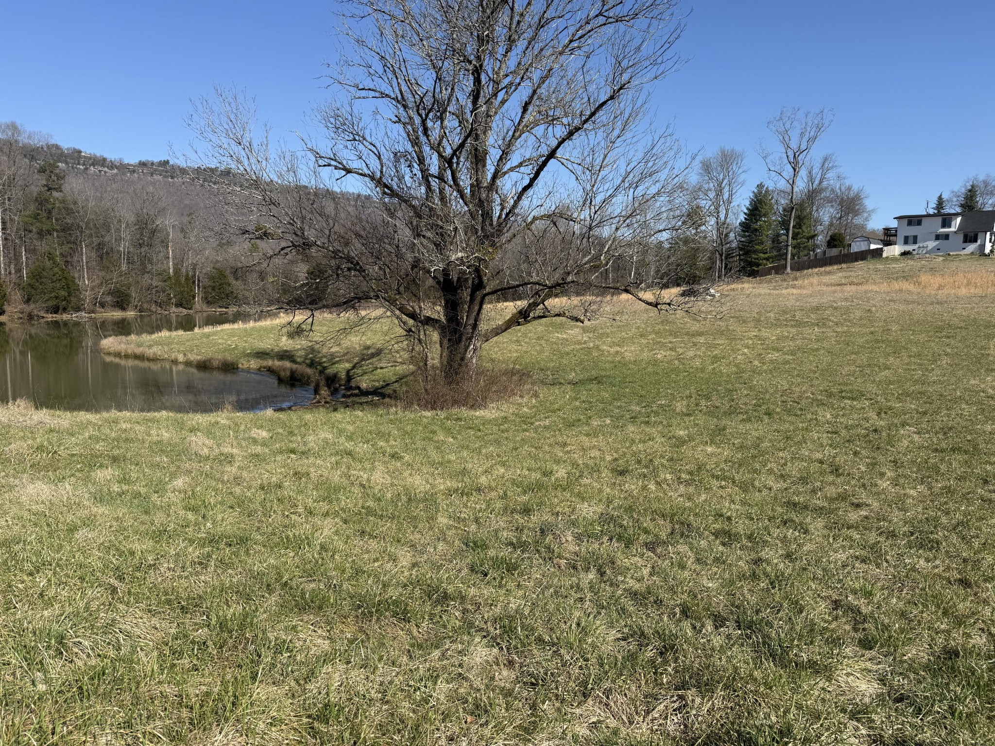 4975 Browntown Road Property Photo 28
