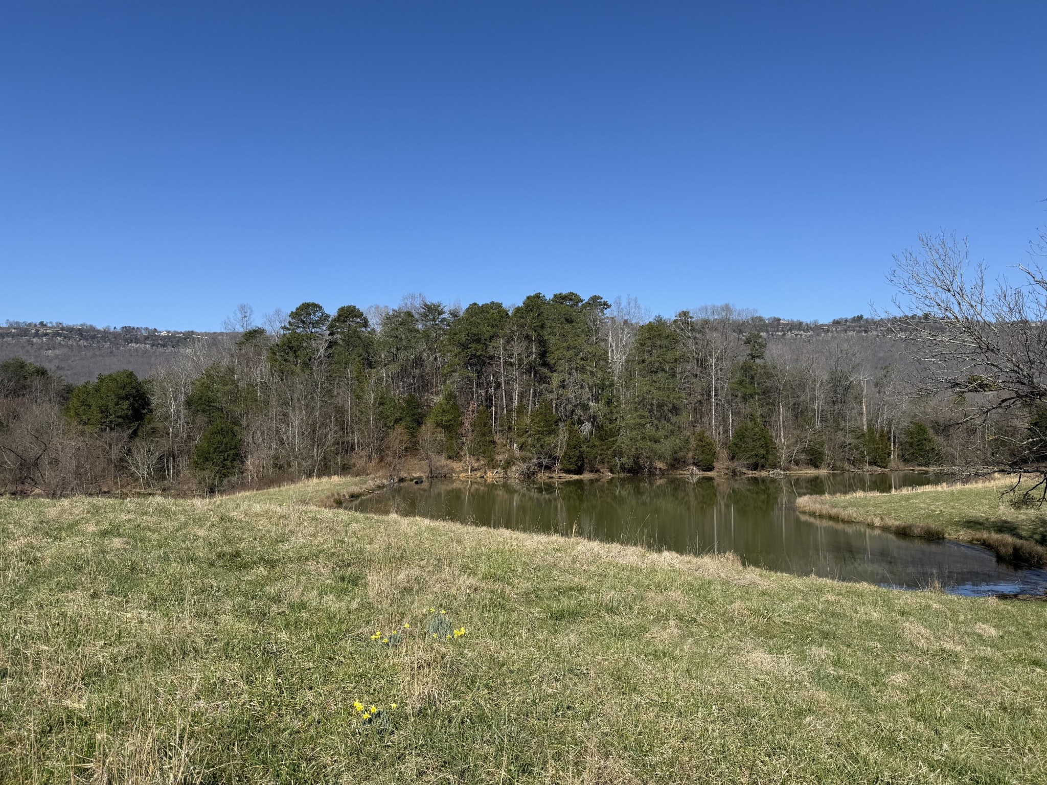4975 Browntown Road Property Photo 29