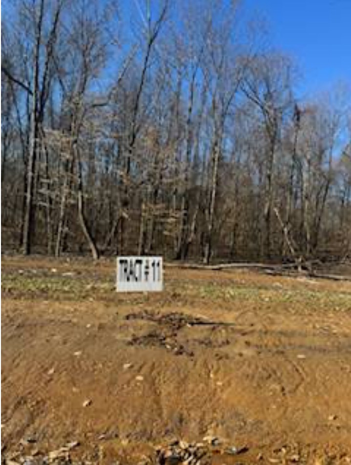 0 White Springs Ln Property Photo