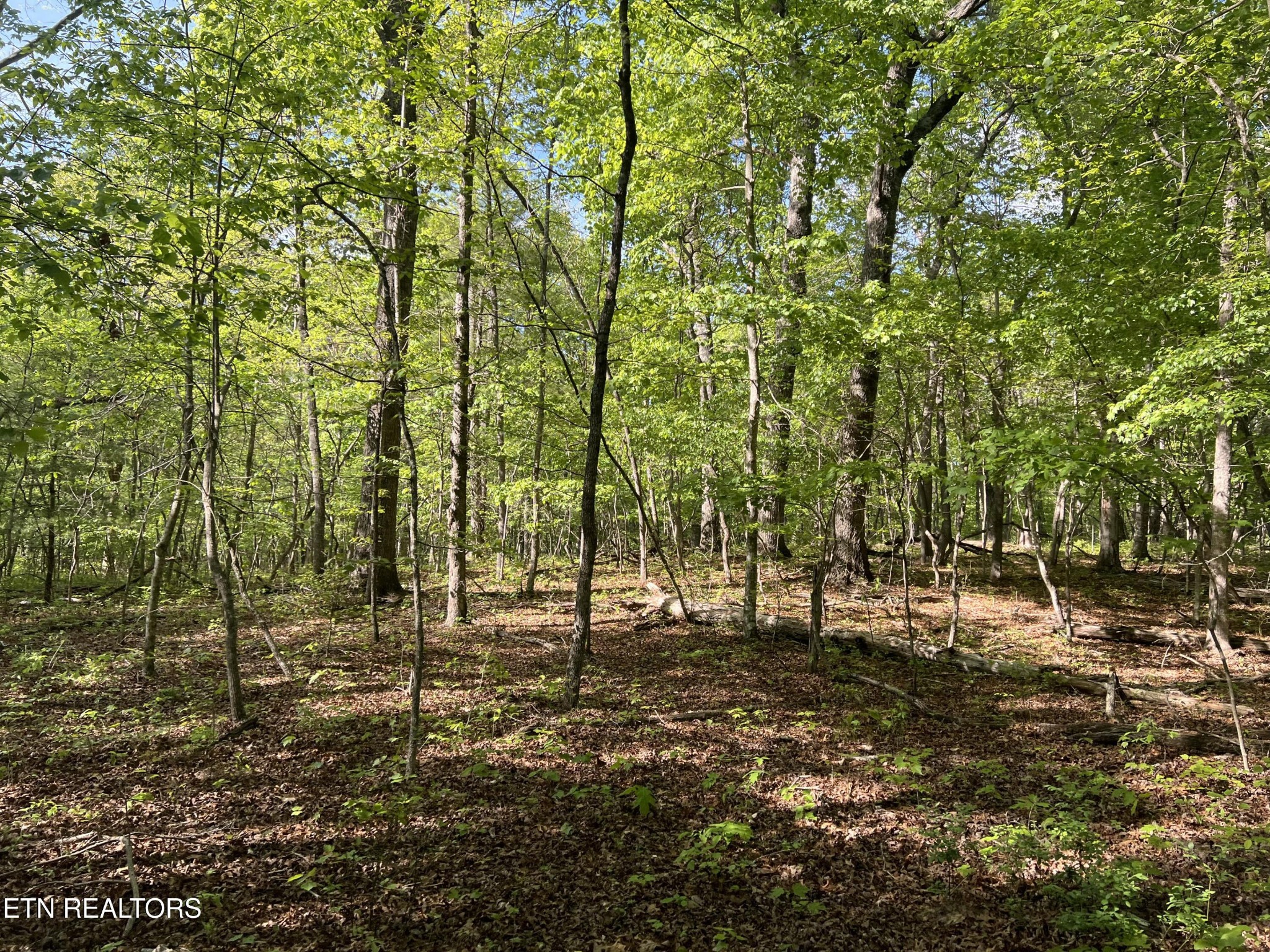 328 Peavine Firetower Rd Property Photo 2
