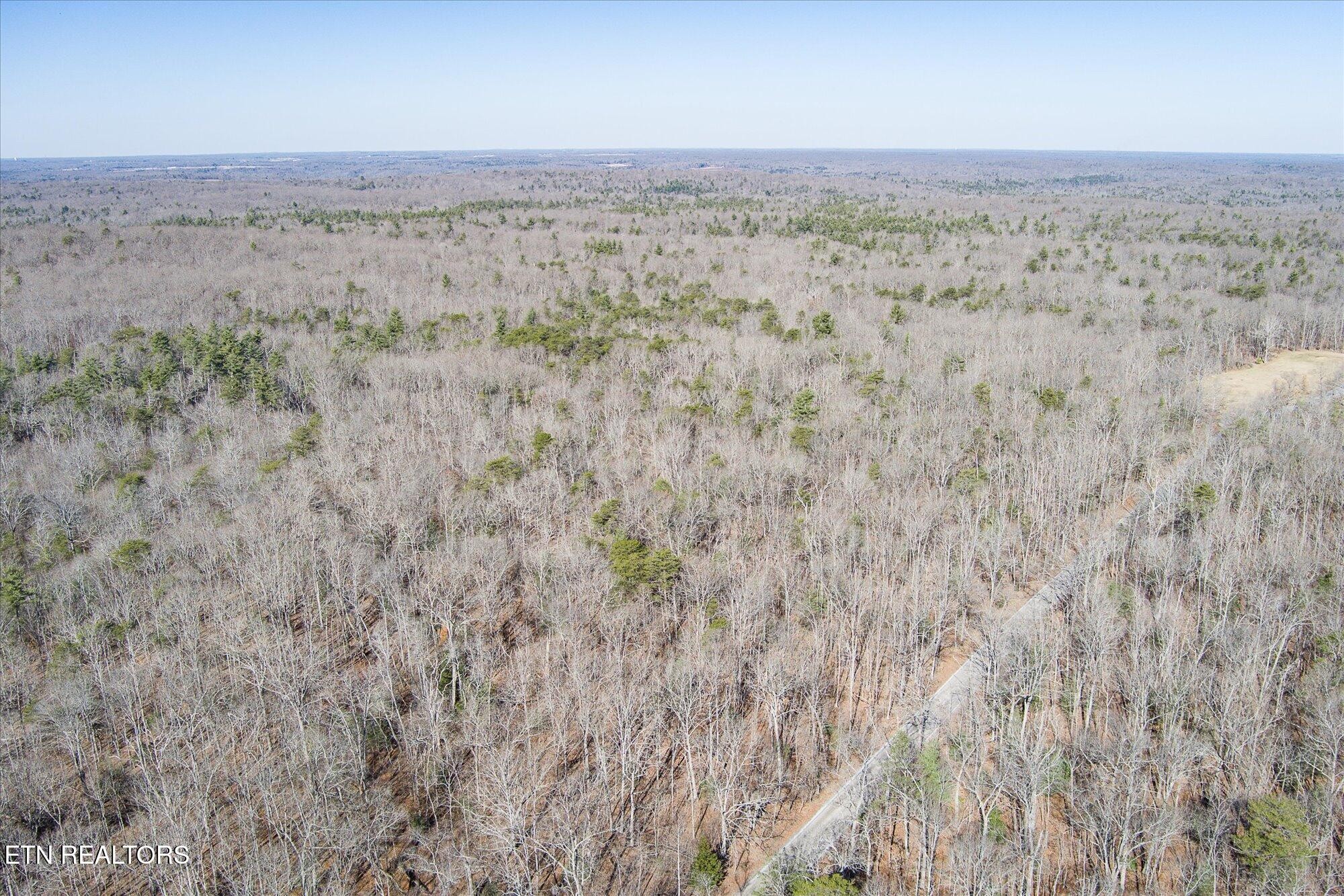 328 Peavine Firetower Rd Property Photo 8