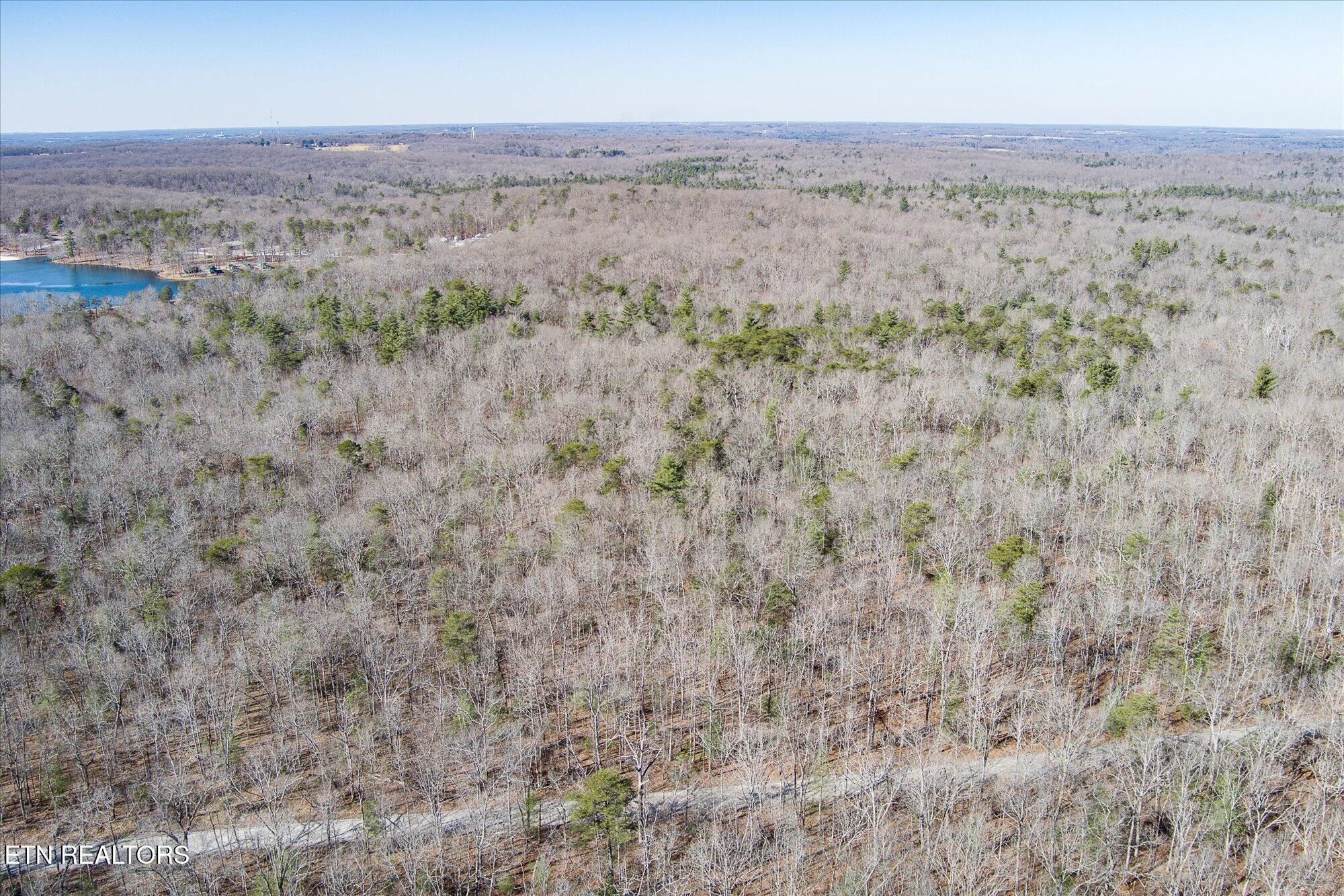 328 Peavine Firetower Rd Property Photo 9