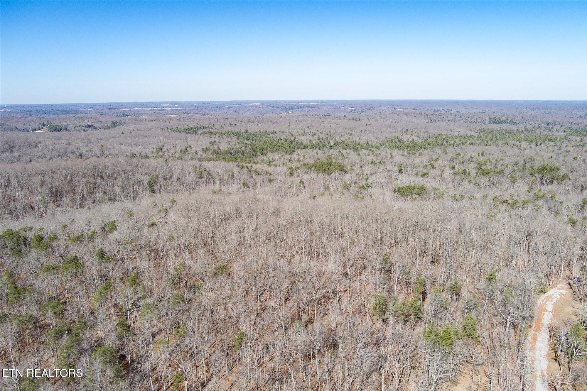 328 Peavine Firetower Rd Property Photo 11
