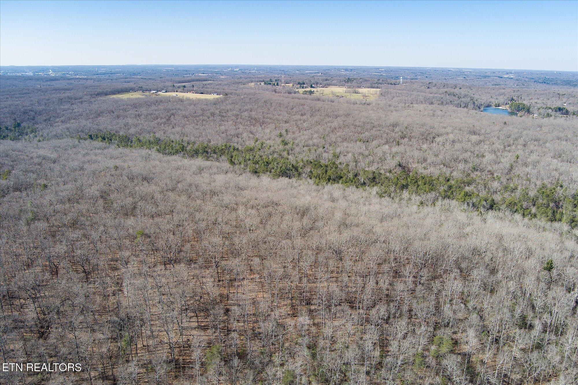 328 Peavine Firetower Rd Property Photo 12