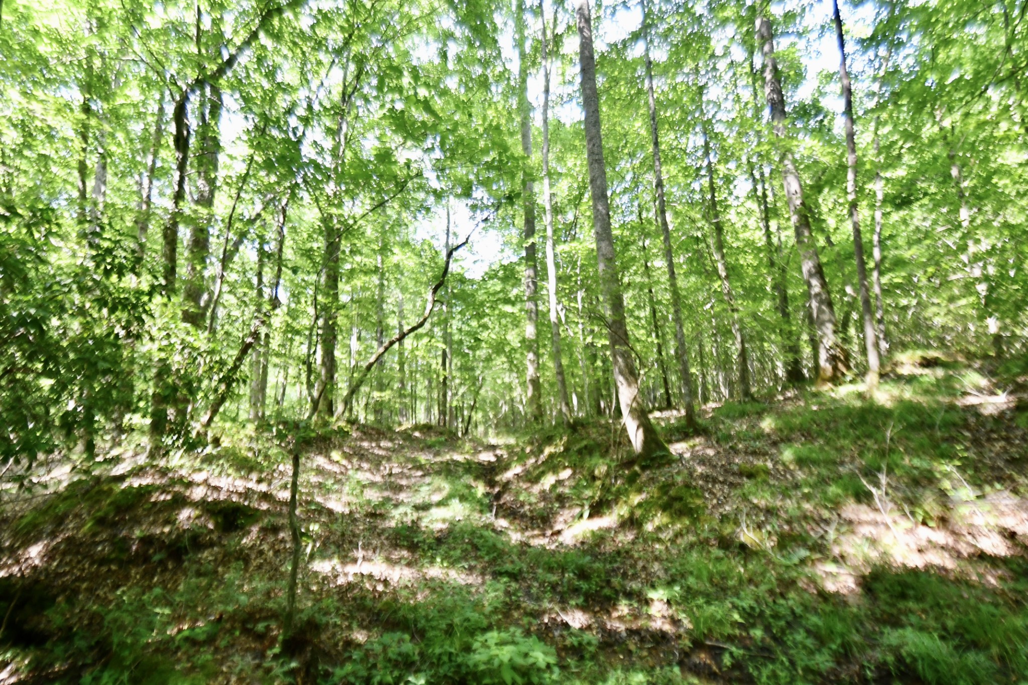 0 Allens Creek Road Property Photo