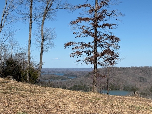 31C Rock Fish Rd Property Photo 1