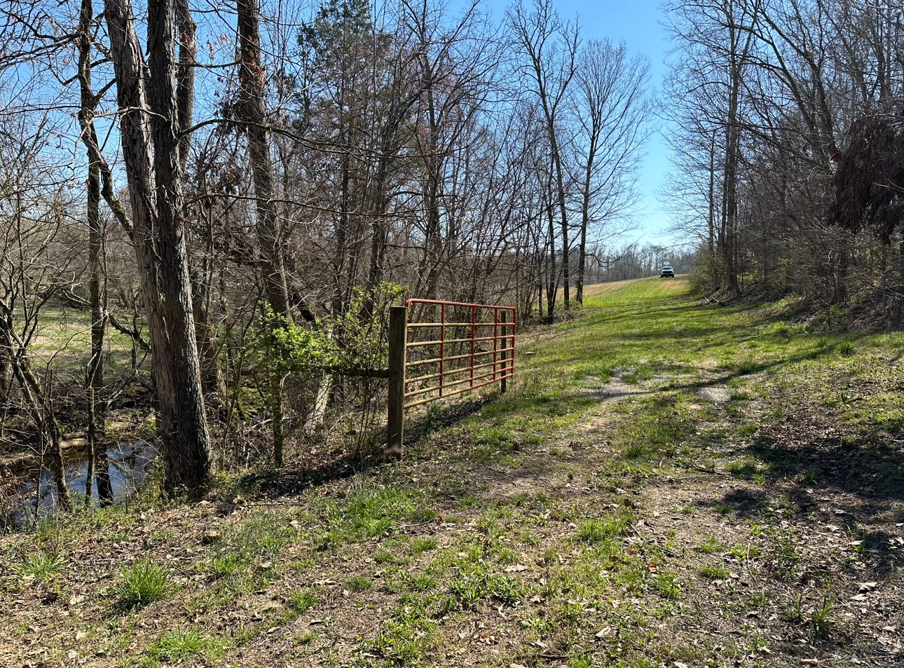 1865 Chalybeate School Rd