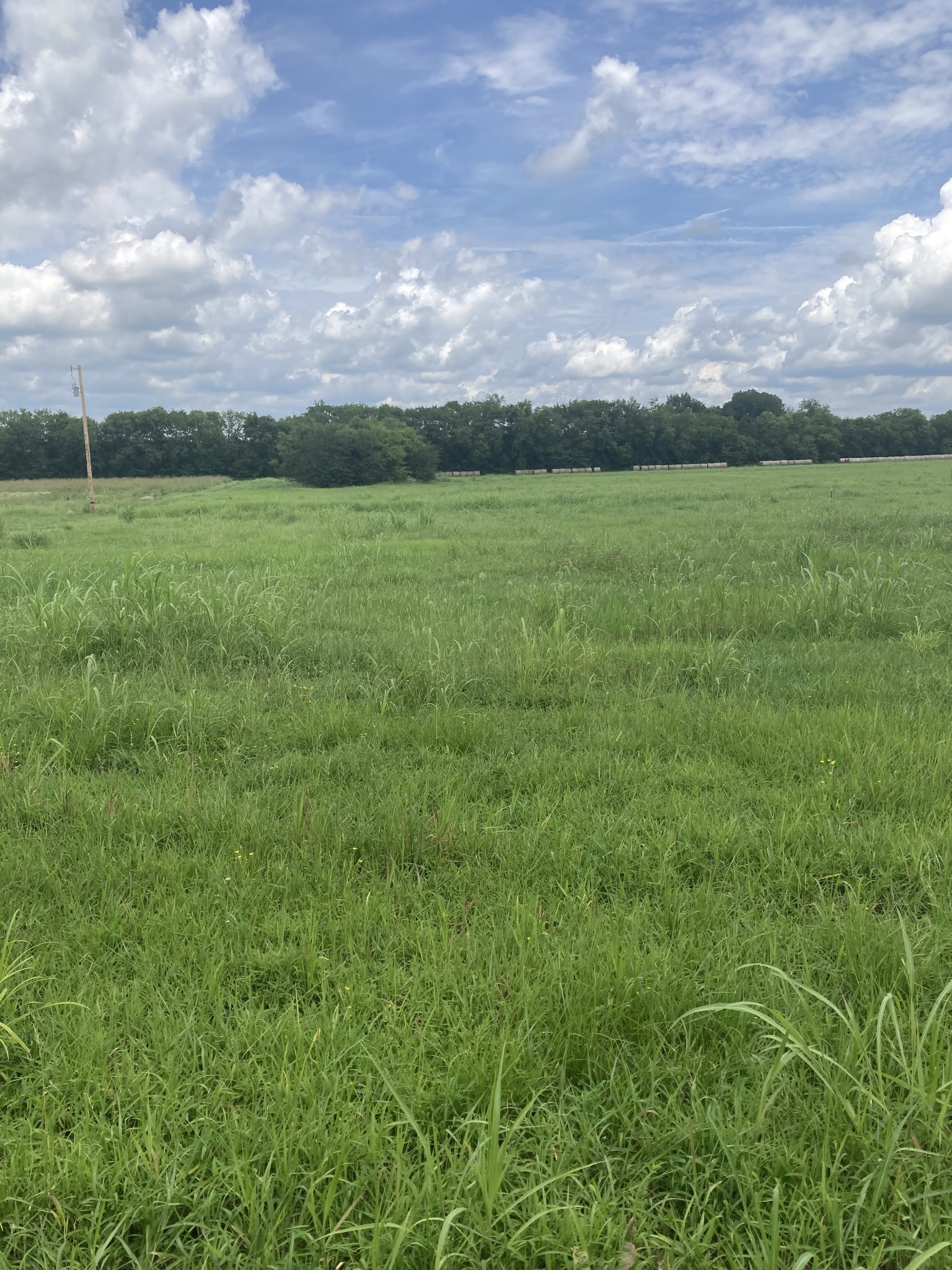 0 Virgil Beasley Road Property Photo 1