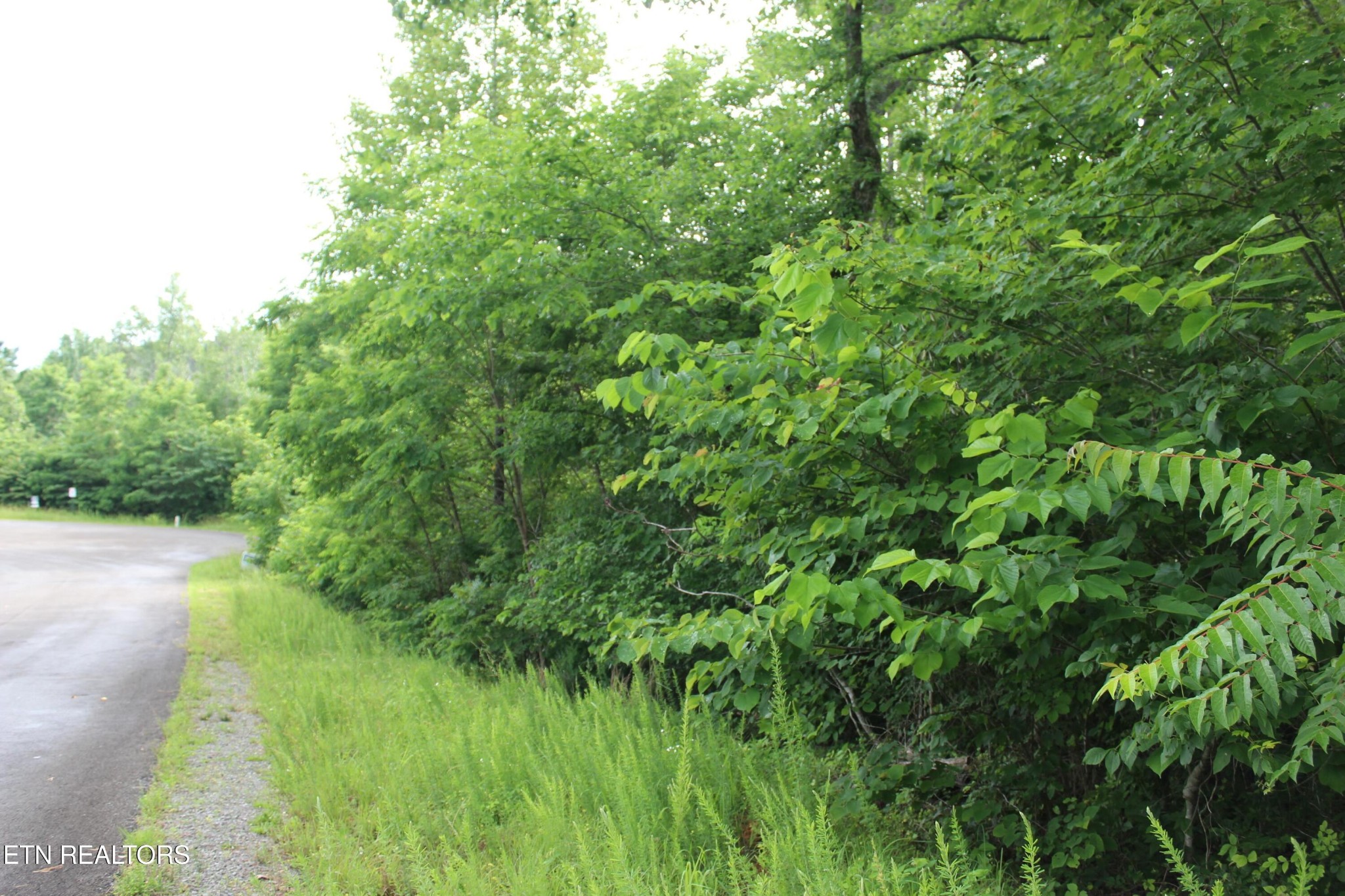 0 Graphite Court Property Photo 1