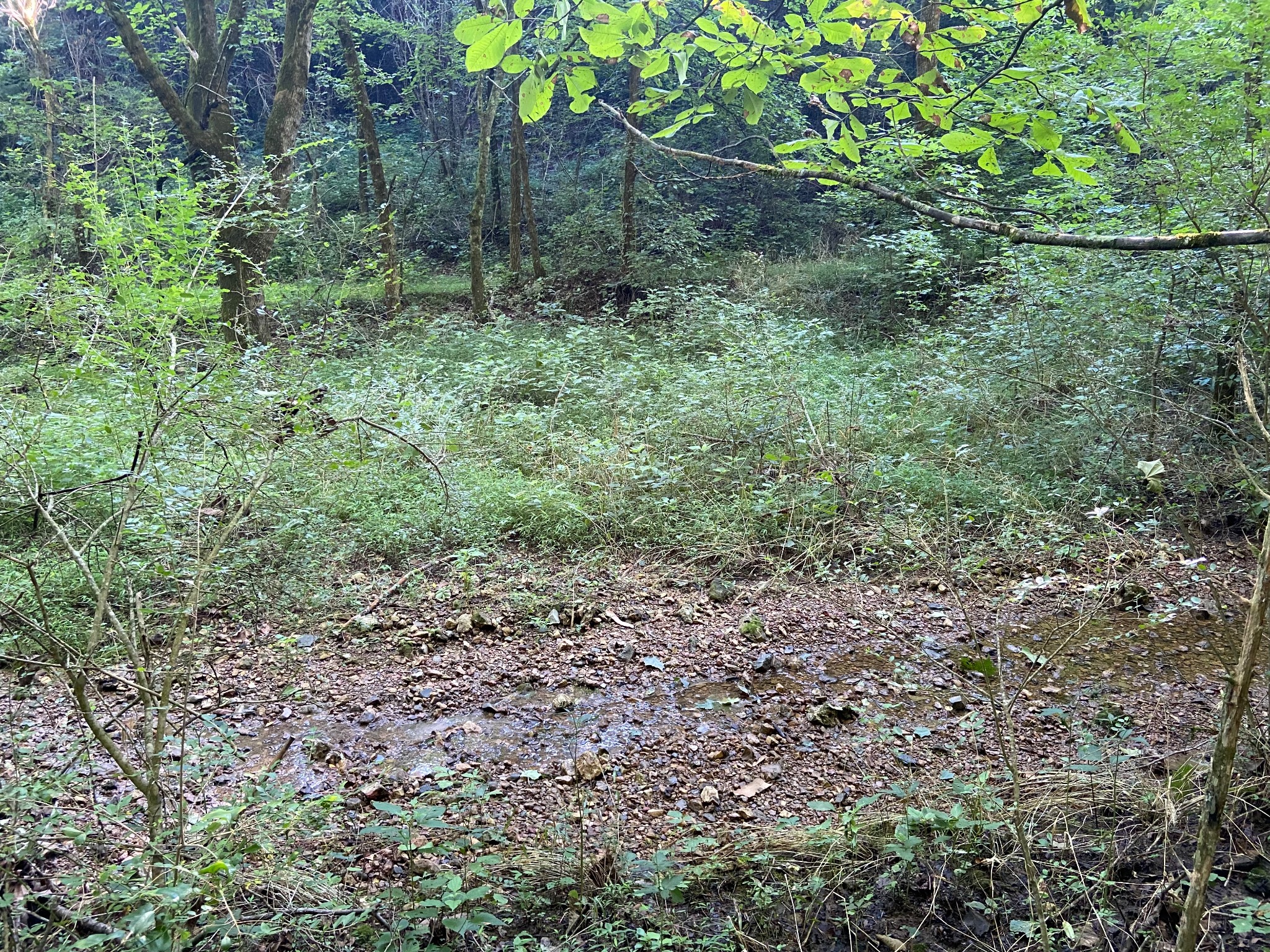 3147 Dale Ridge Rd Property Photo 9